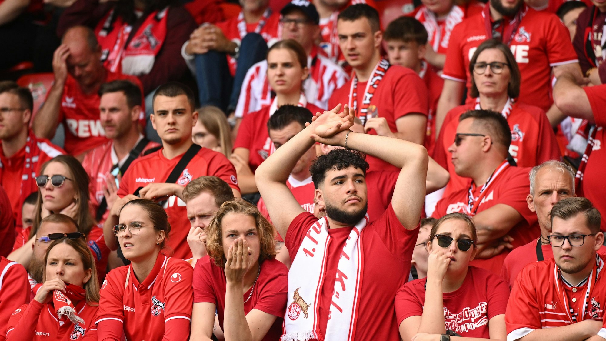 Verzweifelt: Kölner Fans auf der Tribüne der Voith Arena in Heidenheim.