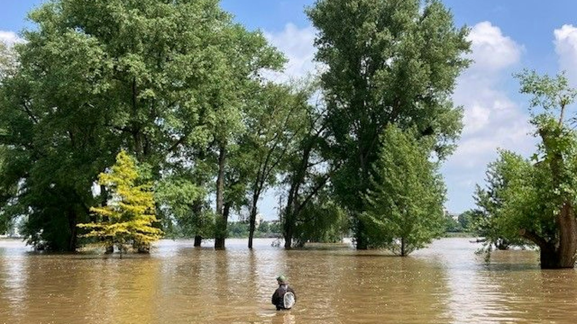 Pfingst-Hochwasser in Köln-Riehl.