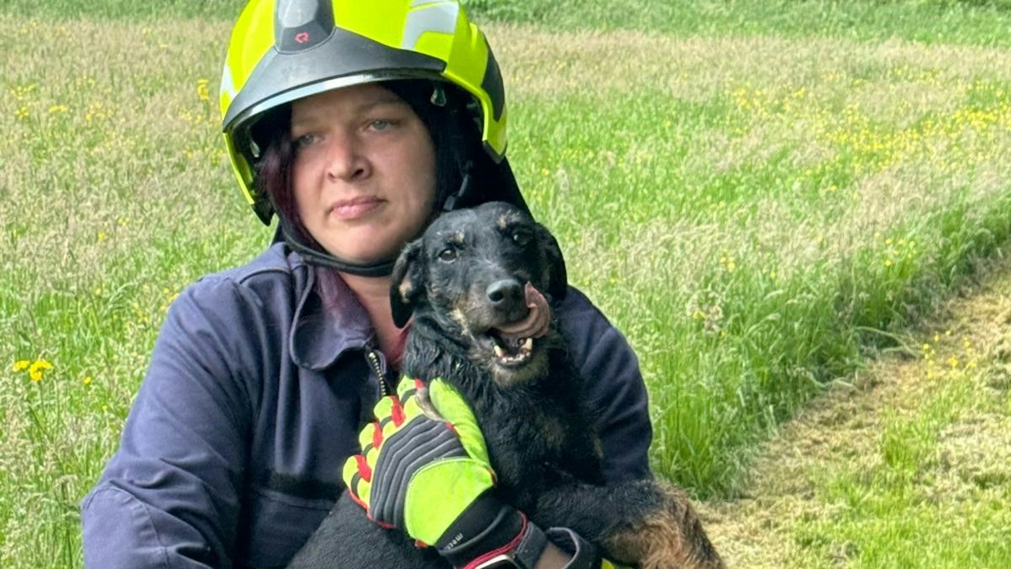 Der aufgeregte Hund wurde von Feuerwehrleuten betreut.