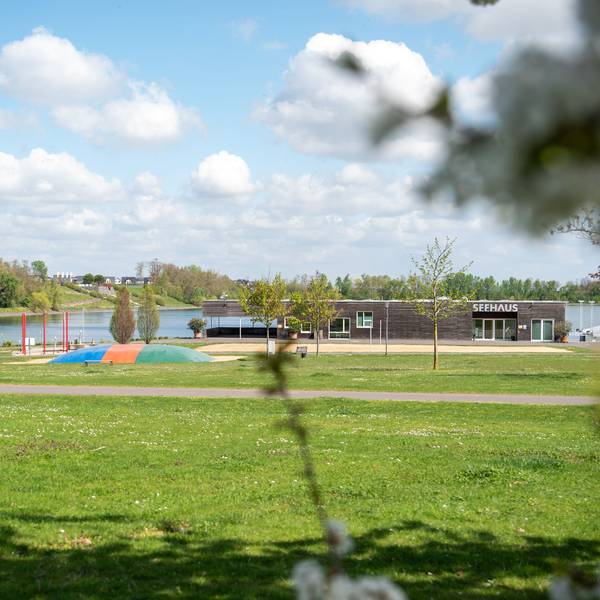 Das Bild zeigt einen kleinen Teil des von Wiesen und Wald umgebenen Zülpicher Wassersportsees.