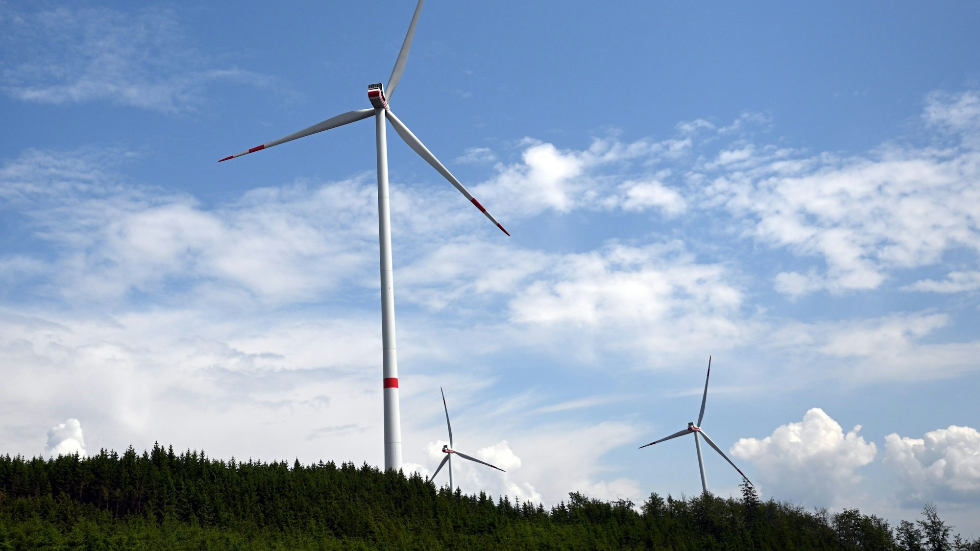 Drei Windräder im Wald