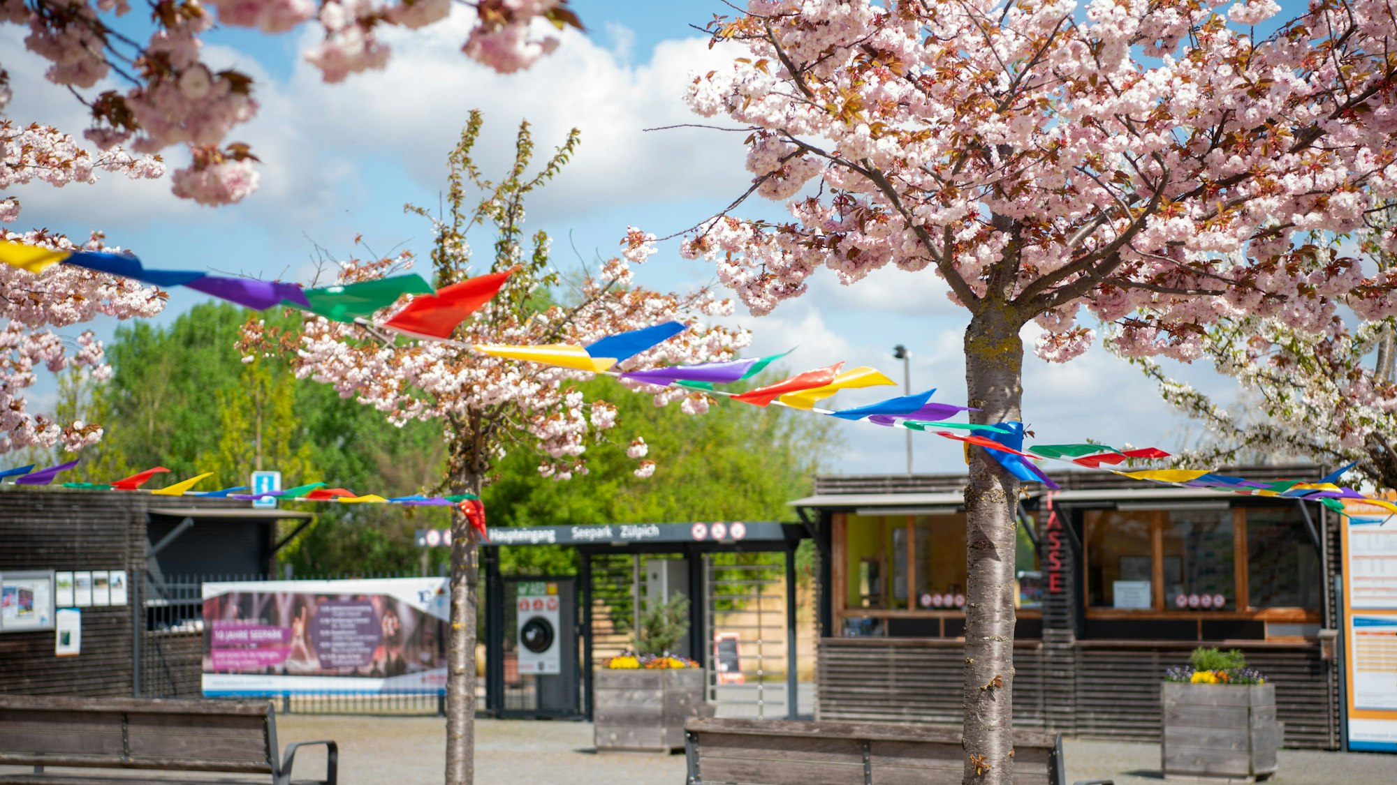 Bunte Wimpel hängen zwischen blühenden Bäumen vor dem Eingang zum Seepark Zülpich.