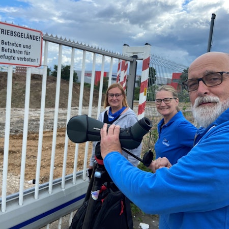 Auf dem Foto sind die Naturschützer zu sehen, die die Möwen auf der Baustelle beobachten