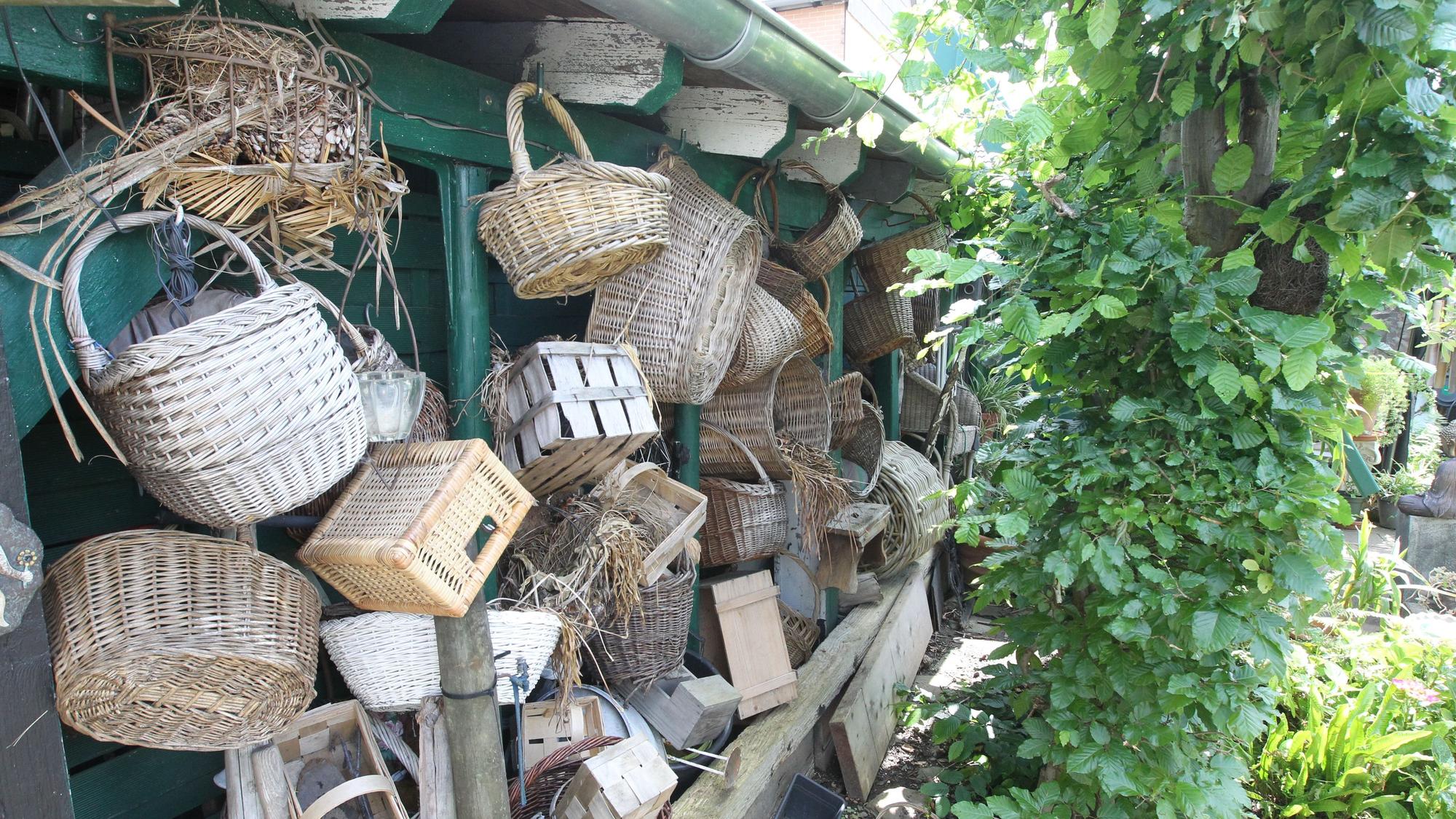 Offenen Gartenpforte In Niederkassel Lülsdorf hat Anita Eschbach einen grünen Daumen und sitzt auf der Bank in ihrem Idyll mit Palmen.