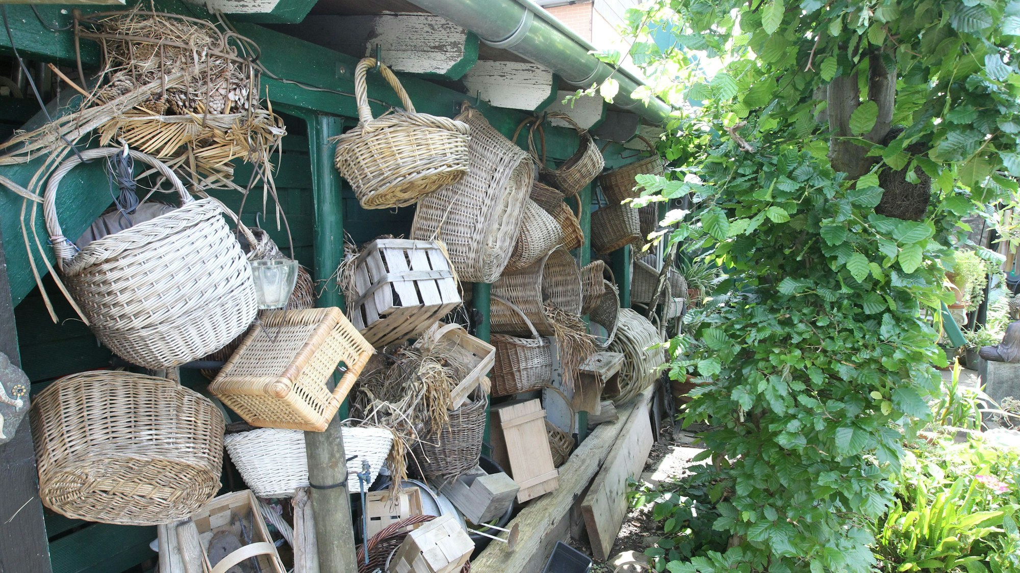 Offenen Gartenpforte In Niederkassel Lülsdorf hat Anita Eschbach einen grünen Daumen und sitzt auf der Bank in ihrem Idyll mit Palmen.