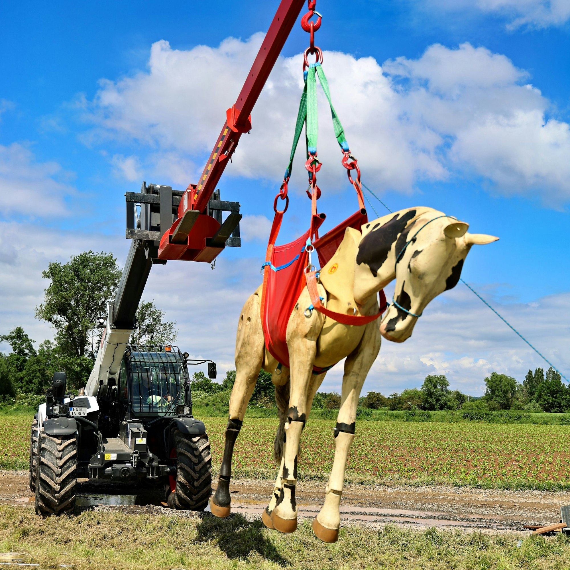 Eingebunden in das Rettungsgeschirr der Weilerswister Feuerwehr, schwebt der Pferdedummy am Haken des Teleskopladers etwa einen Meter hoch über dem Feld.