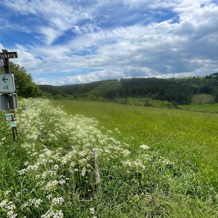 Neben einer schmalen Straße am linken Bildrand steht ein Schild mit der Aufschrift „Ferkelsberg“. Auf der großen Wiese rechts daneben soll eine Freiflächen-Photovoltaik-Anlage entstehen.