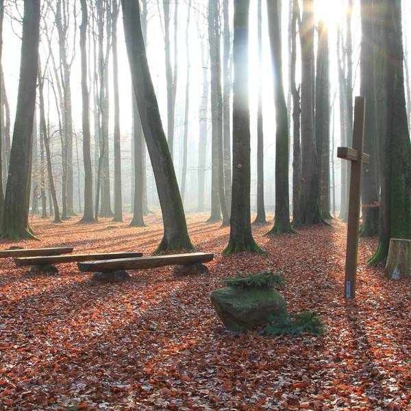 Eine Andachtsstelle im Ruheforst Rügen Abtshagen. Der Ruheforst befindet sich in einem Eichen- und Buchenwaldgebiet.