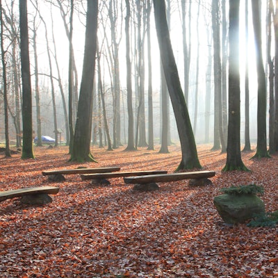 Eine Andachtsstelle im Ruheforst Rügen Abtshagen. Der Ruheforst befindet sich in einem Eichen- und Buchenwaldgebiet.