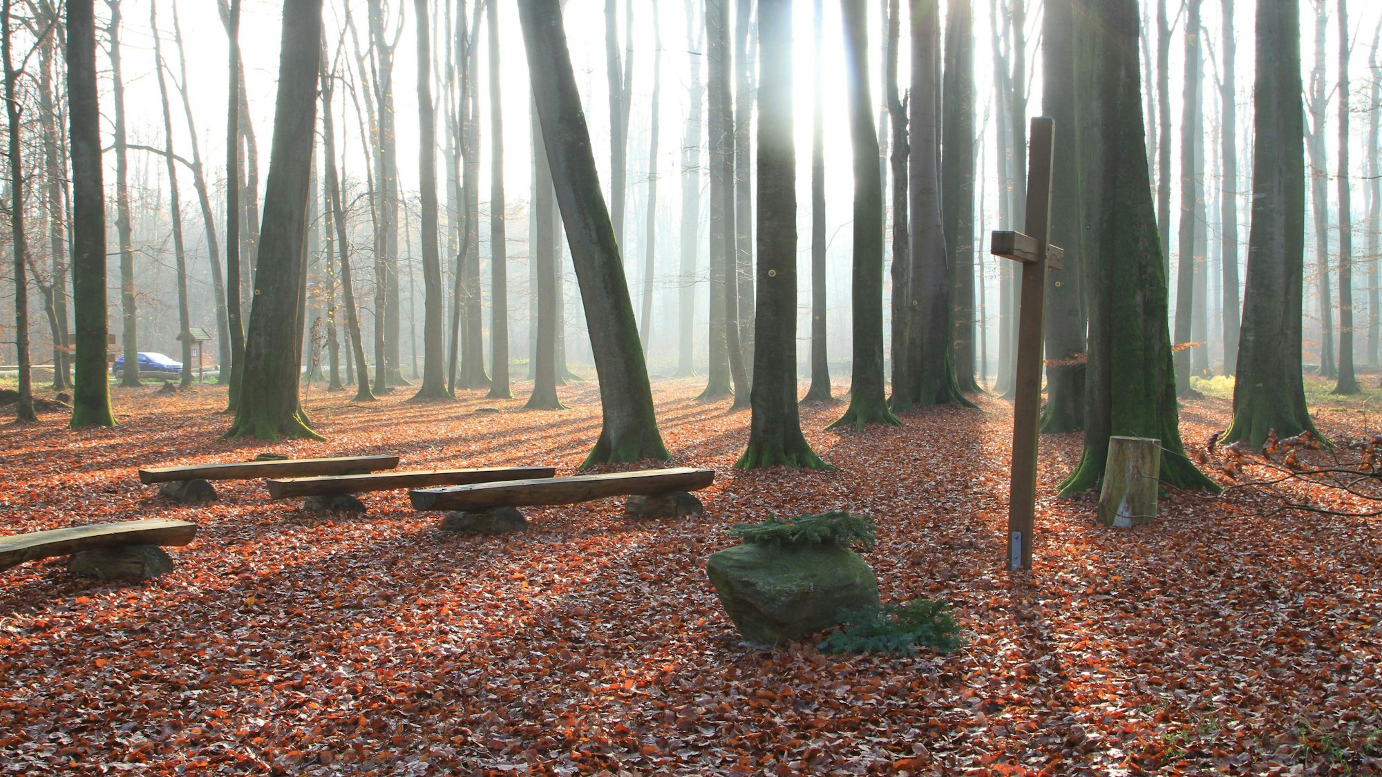 Eine Andachtsstelle im Ruheforst Rügen Abtshagen. Der Ruheforst befindet sich in einem Eichen- und Buchenwaldgebiet.