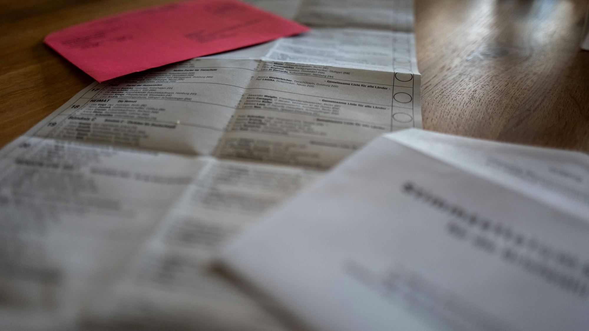 Das Bild zeigt einen Teil des Wahlzettels für die Europawahl.