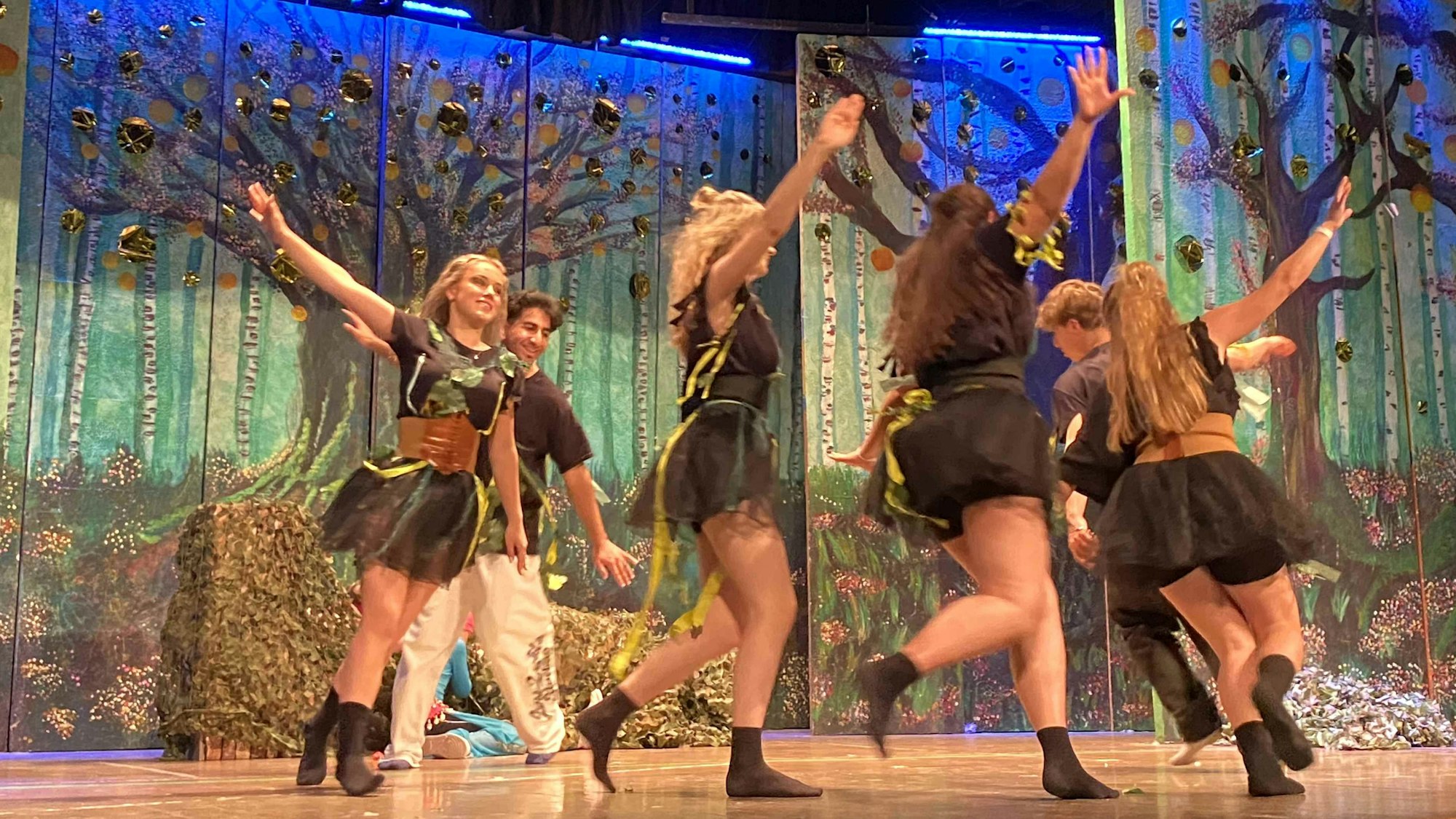 Tanzende Elfen auf der Bühne des Pädagogischen Zentrums.