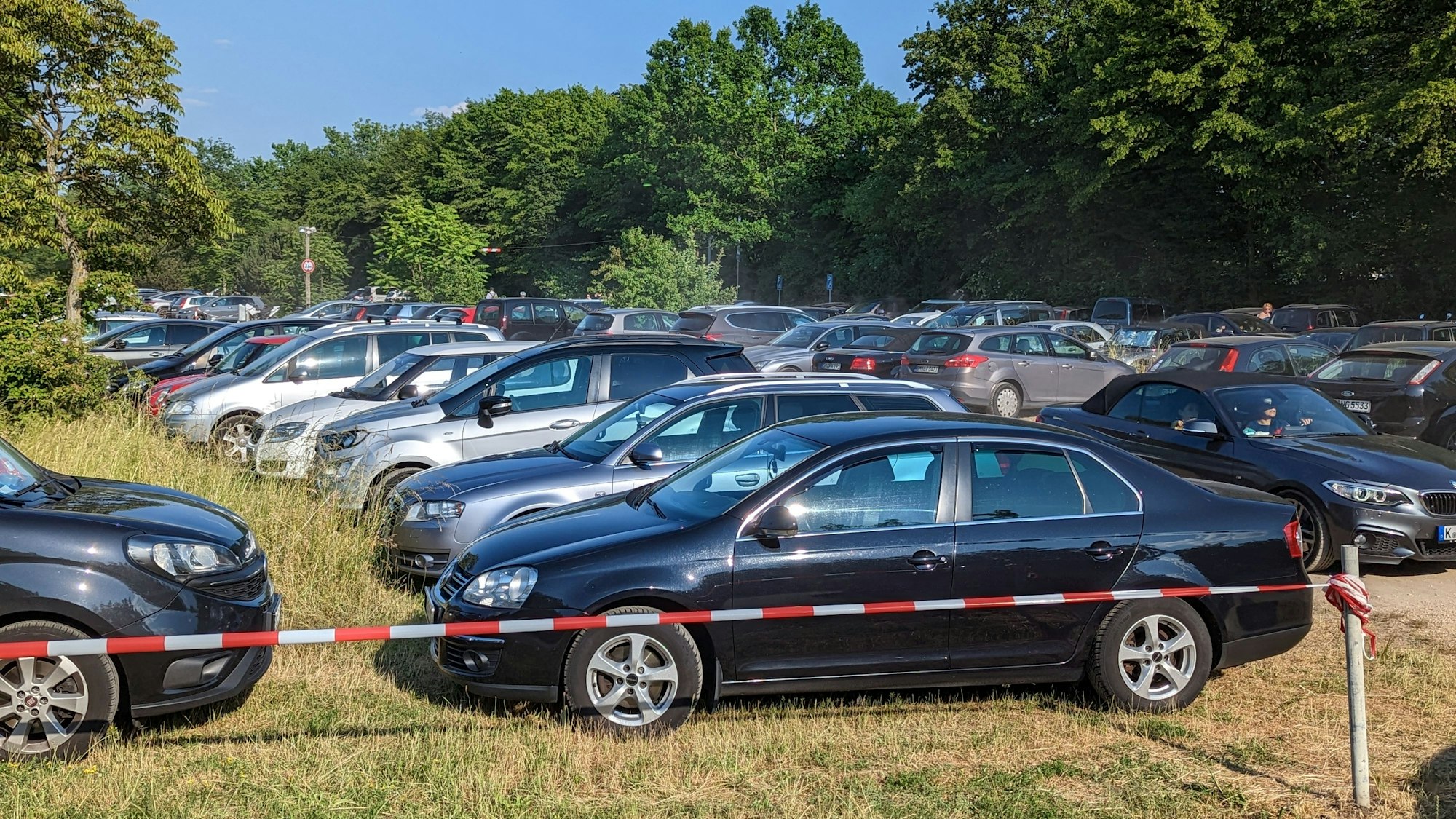 Etliche Autos stehen auf einer mit Flatterband abgezäunten Wiese unter Bäumen am Otto-Maigler-See.