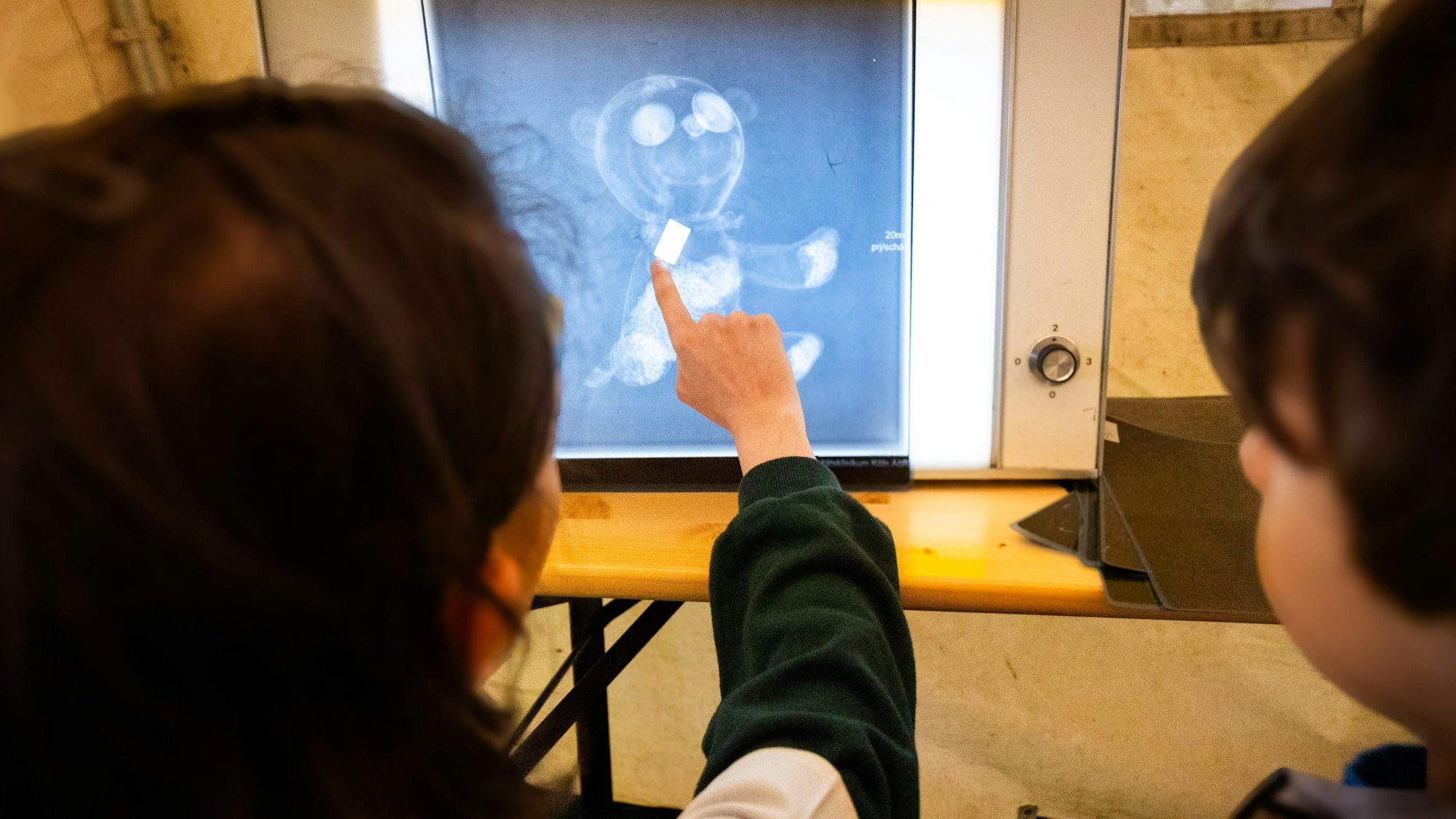 Auf dem Röntgenbild wird Teddys Leiden auf den Grund gegangen.