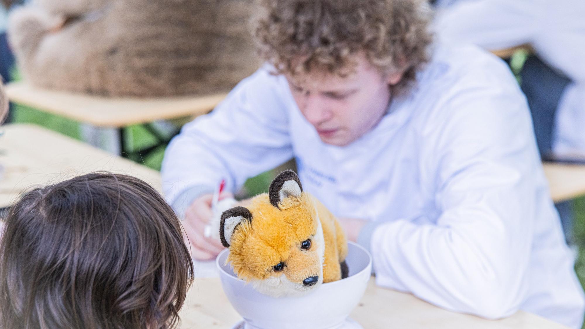 Dem Fuchs geht es heute nicht so gut. Medizinstudenten helfen bei der Diagnose.