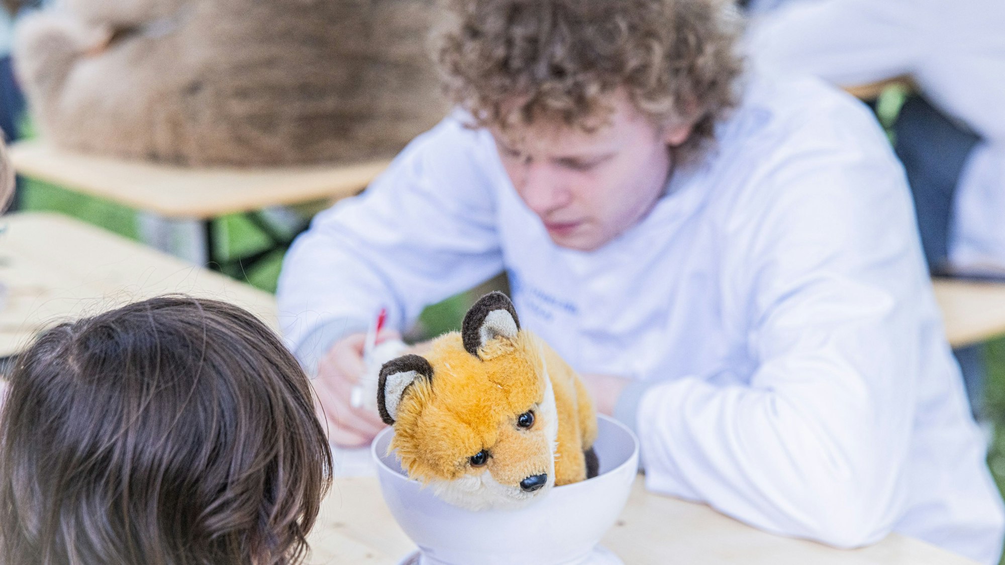 Dem Fuchs geht es heute nicht so gut. Medizinstudenten helfen bei der Diagnose.