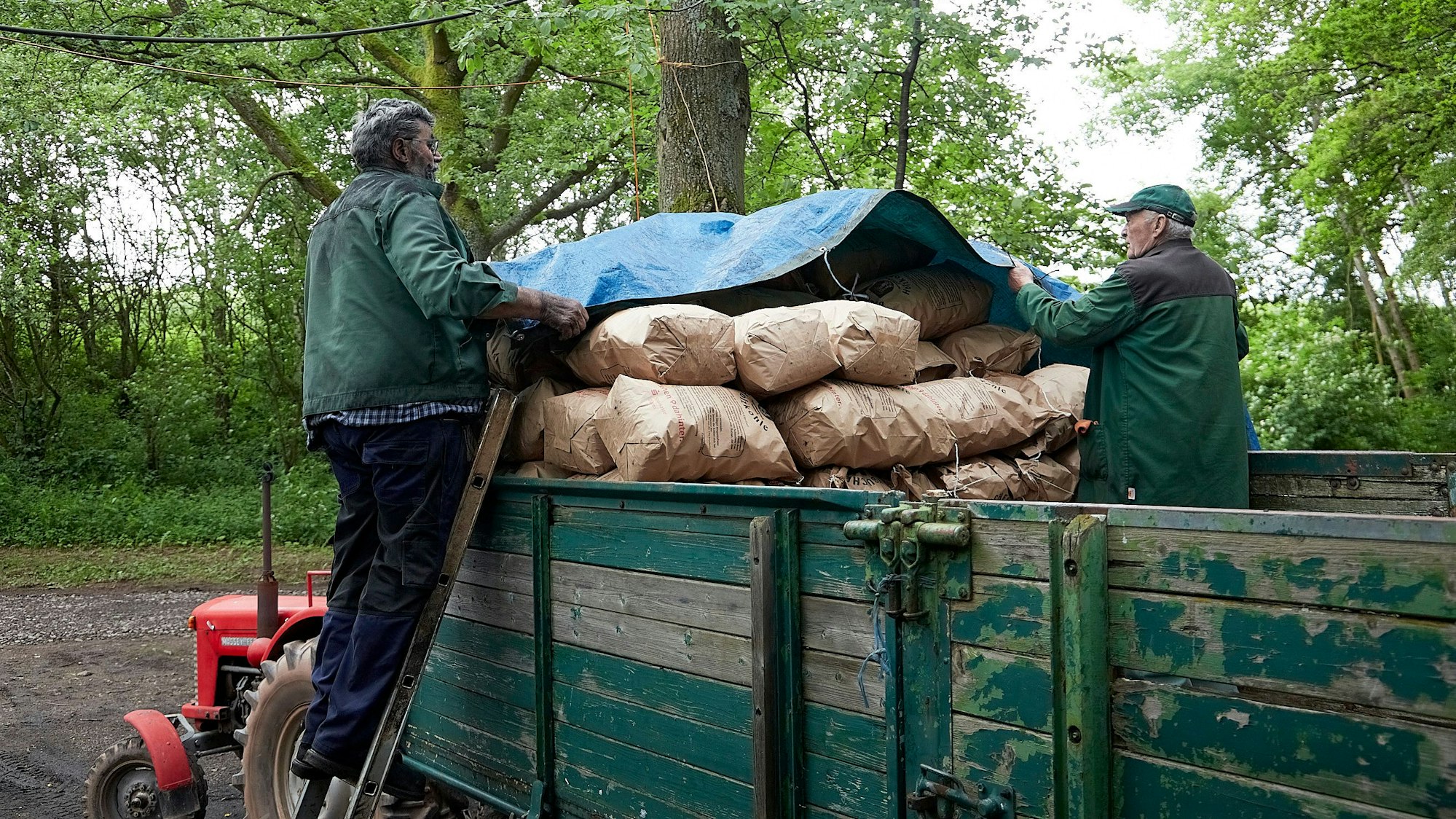 Zwei Männer haben Säcke mit Holzkohle auf einen Anhänger geladen und ziehen eine blaue Plane darüber, um sie vor Regen zu schützen.