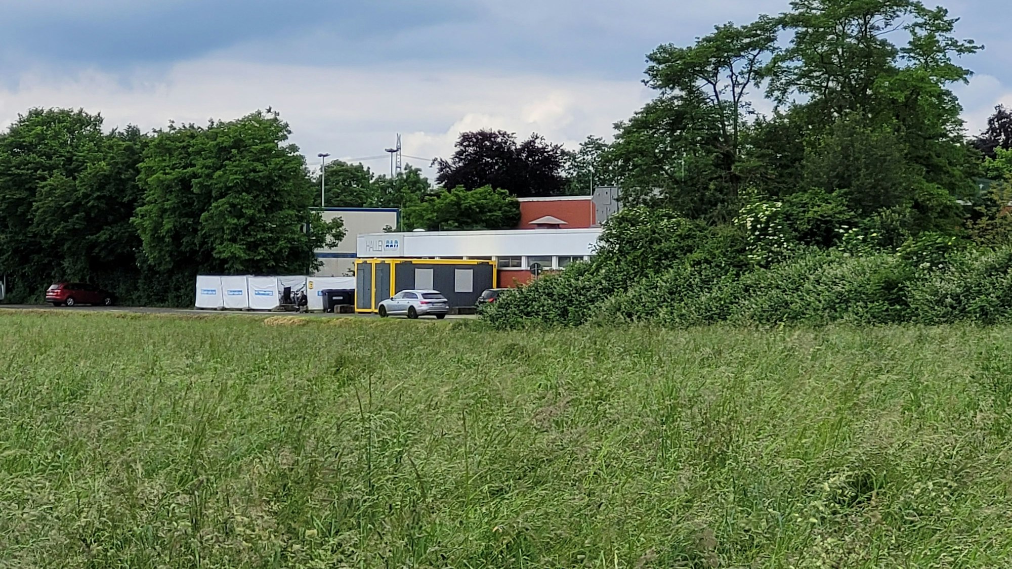 Im Vordergrund ein mit Pflanzen bewachsenes Grundstück, im Hintergrund ein Gebäude - das alte Hallenbad.