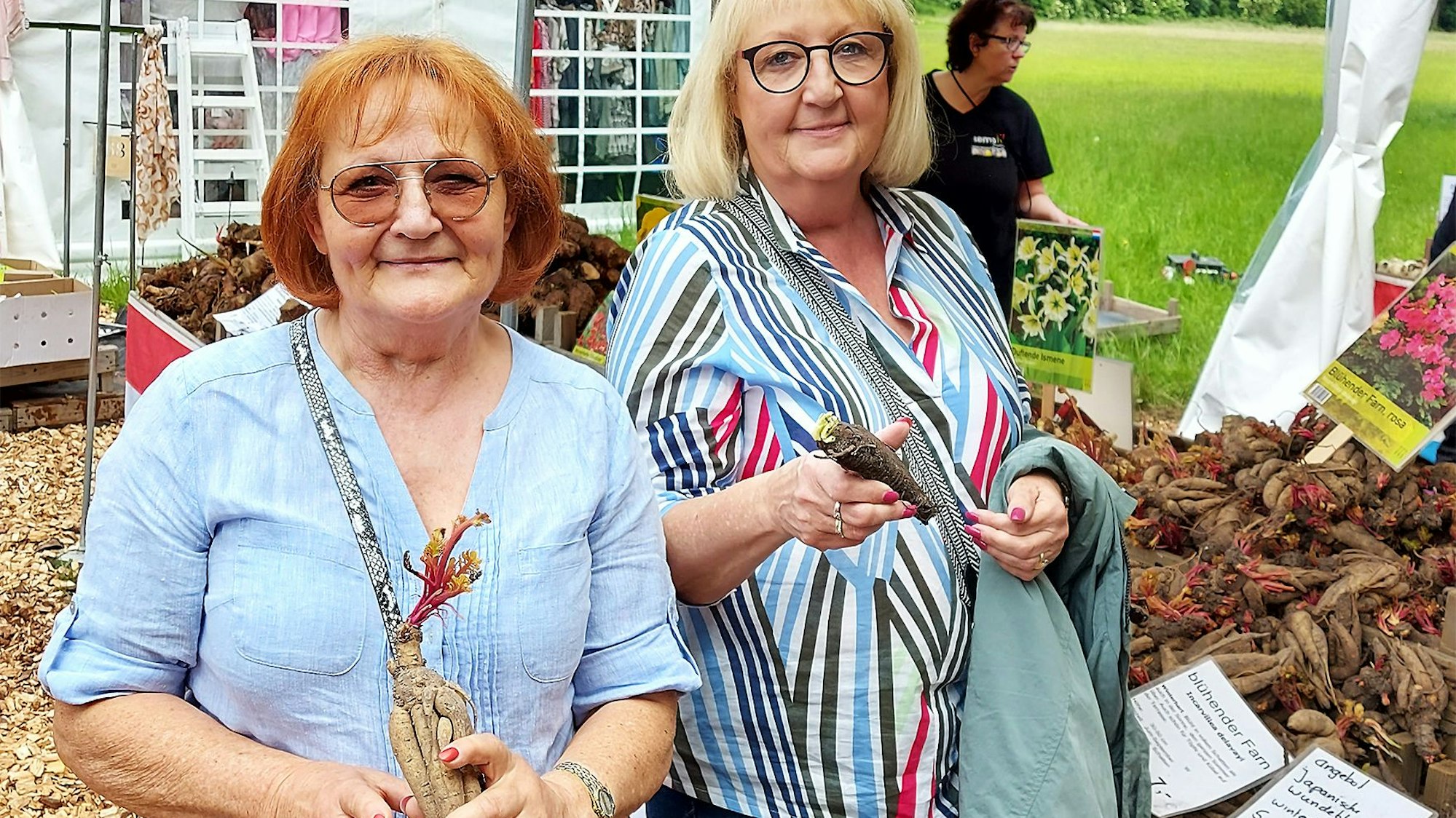 Zwei Frauen aus Euskirchen besuchen die Gartenträume am Schloss Eicks. Beide halten die Wurzeln von Pflanzen in den Händen.