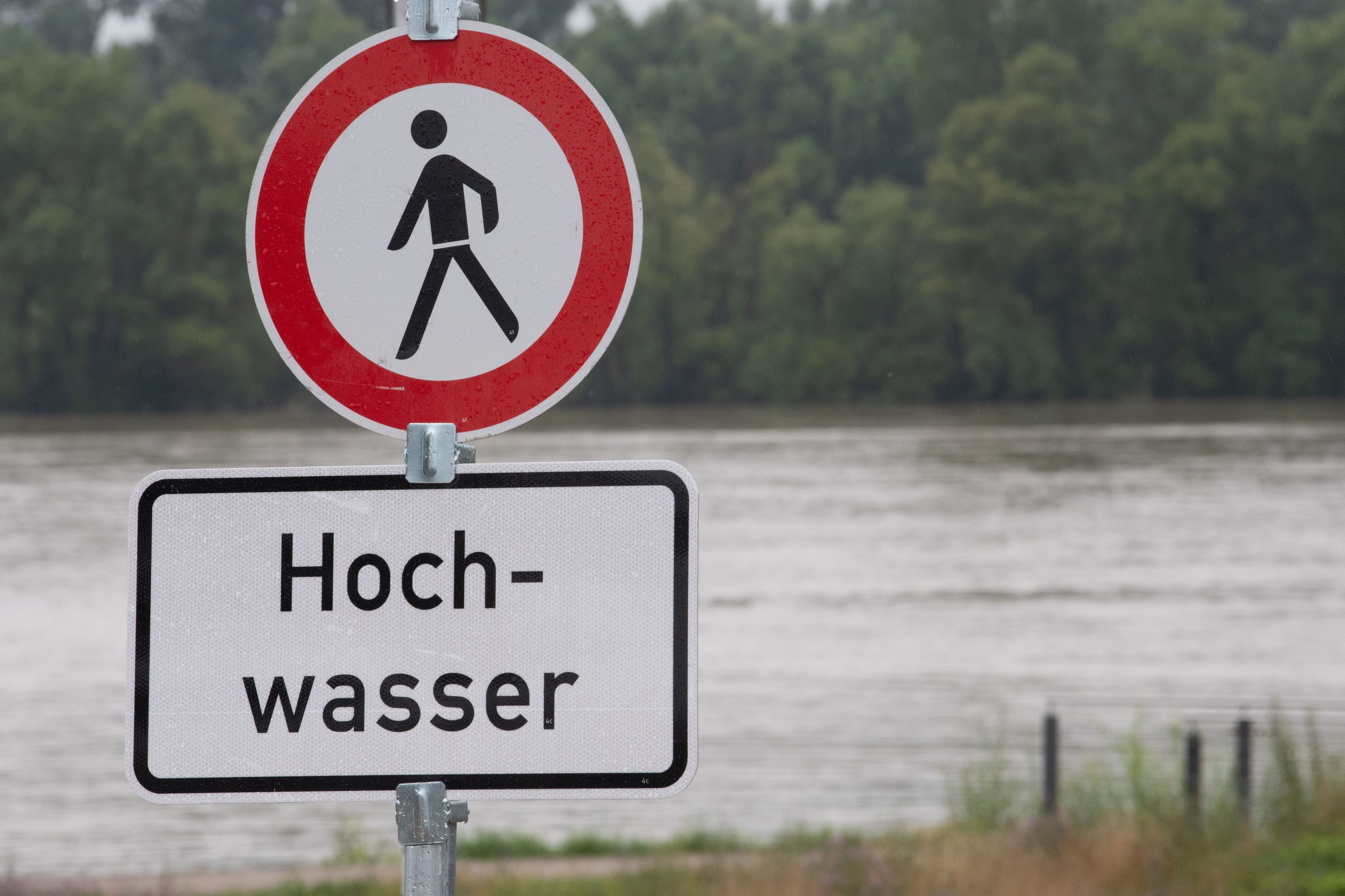 Rheinland-Pfalz, Heidesheim Am Rhein: Wasserstände am Rhein steigen laut Prognosen. (Archvibild)