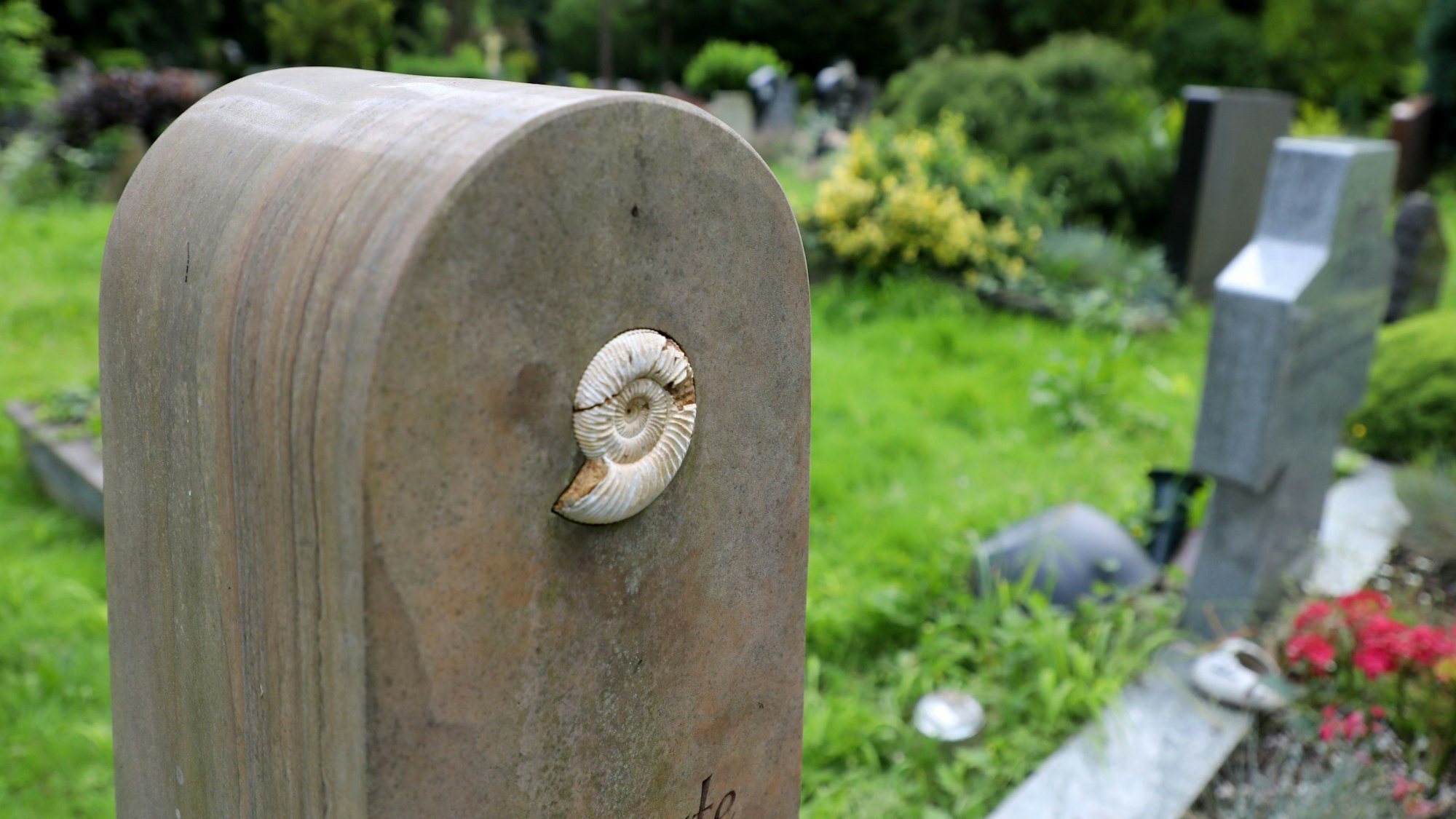 In einen Grabstein ist ein Fossil eingearbeitet.