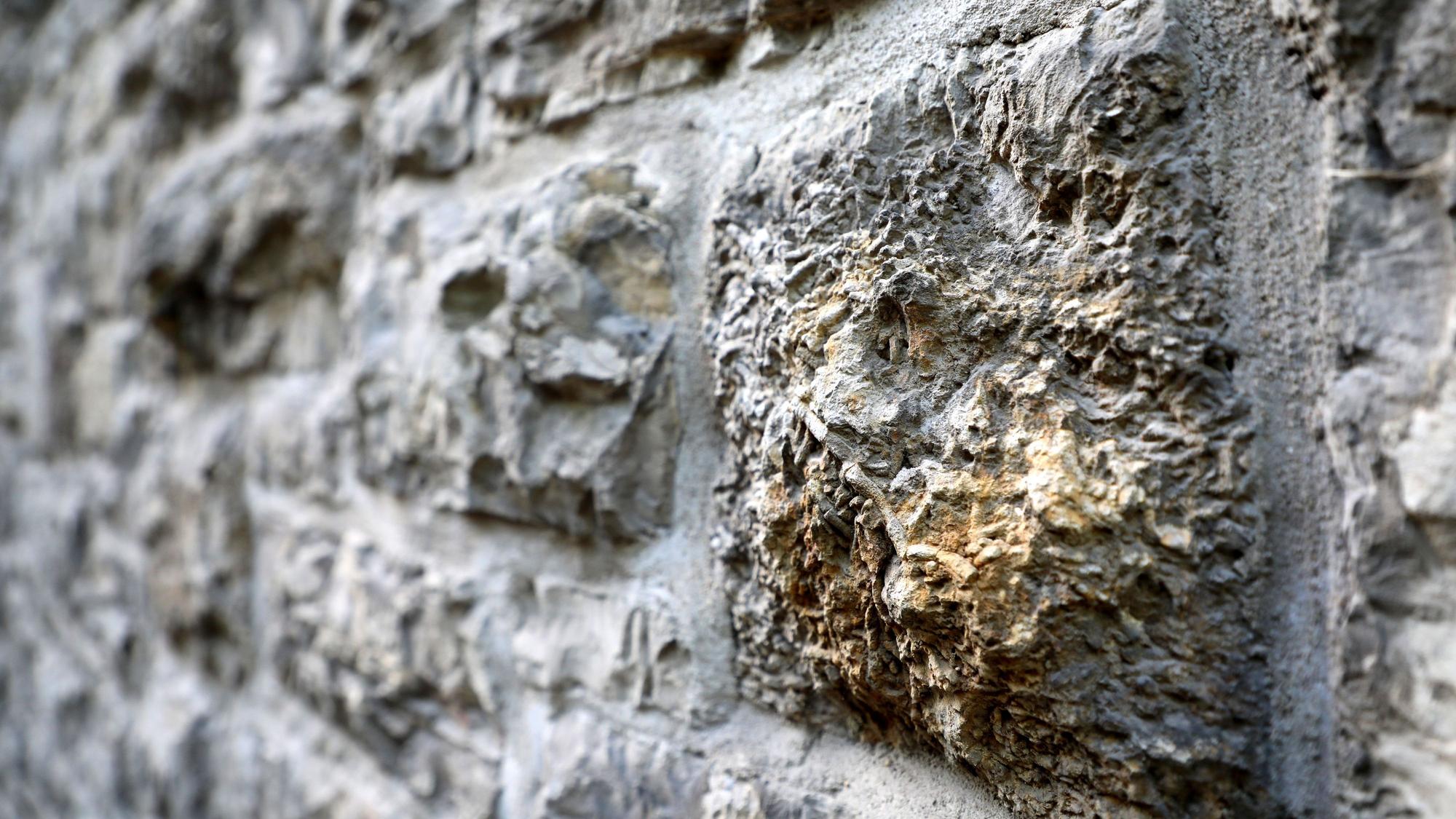 Fossilien sind in einem Mauerstein des Bergisch Gladbacher Rathauses Stadtmitte zu sehen.