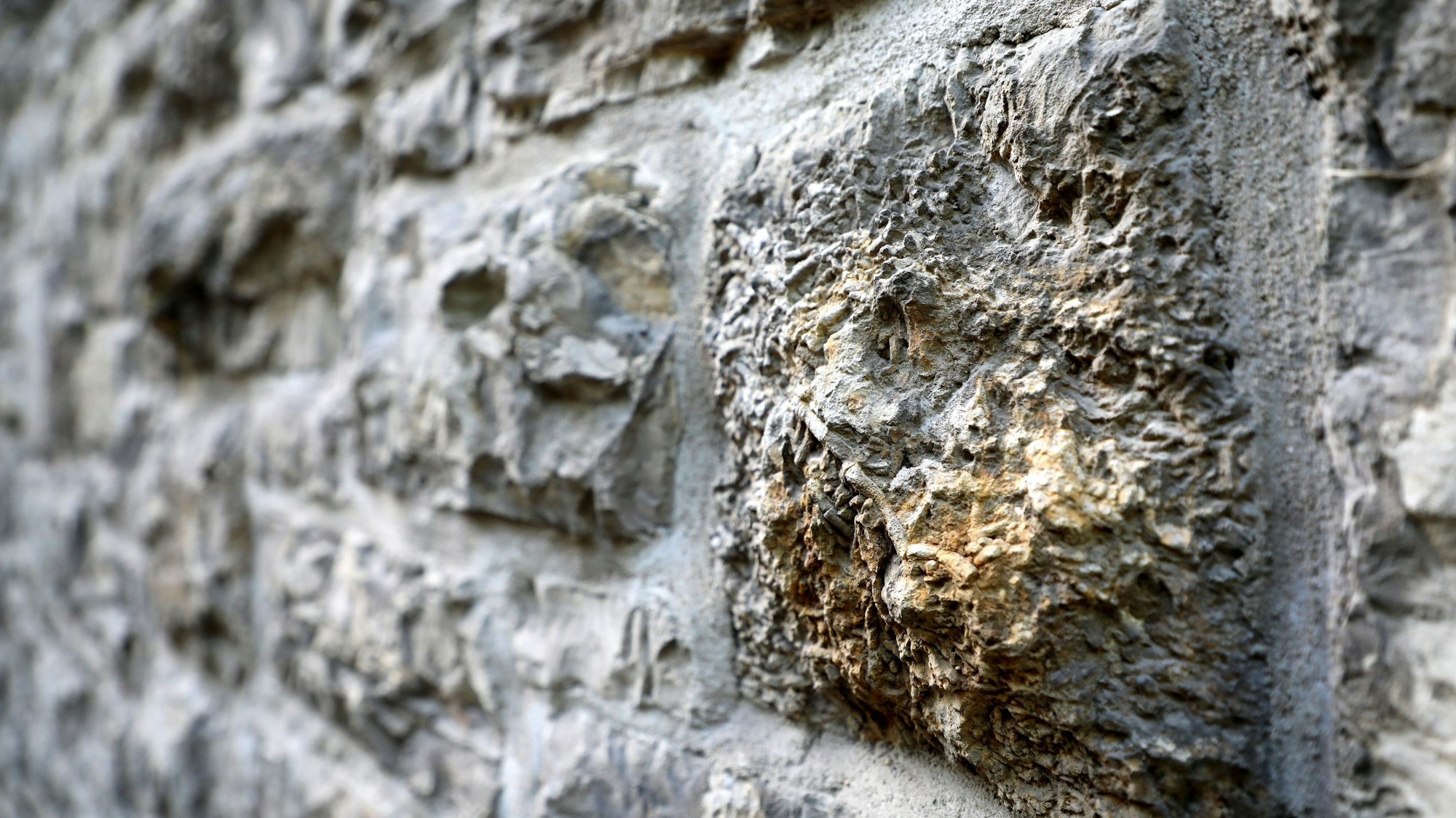 Fossilien sind in einem Mauerstein des Bergisch Gladbacher Rathauses Stadtmitte zu sehen.