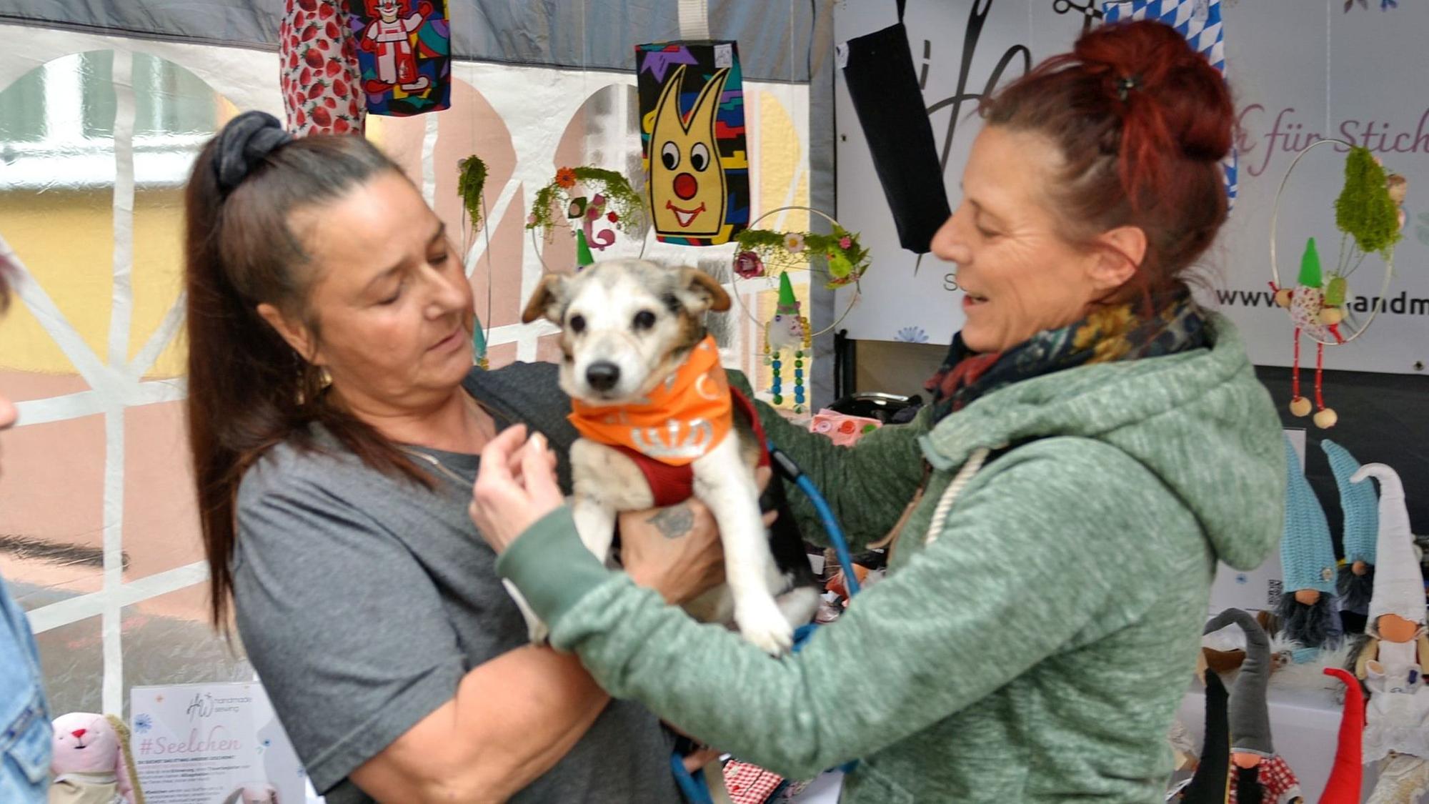 Eine Frau hält ihren kleinen Hund auf dem Arm, eine andere legt ihm ein Halstuch an.