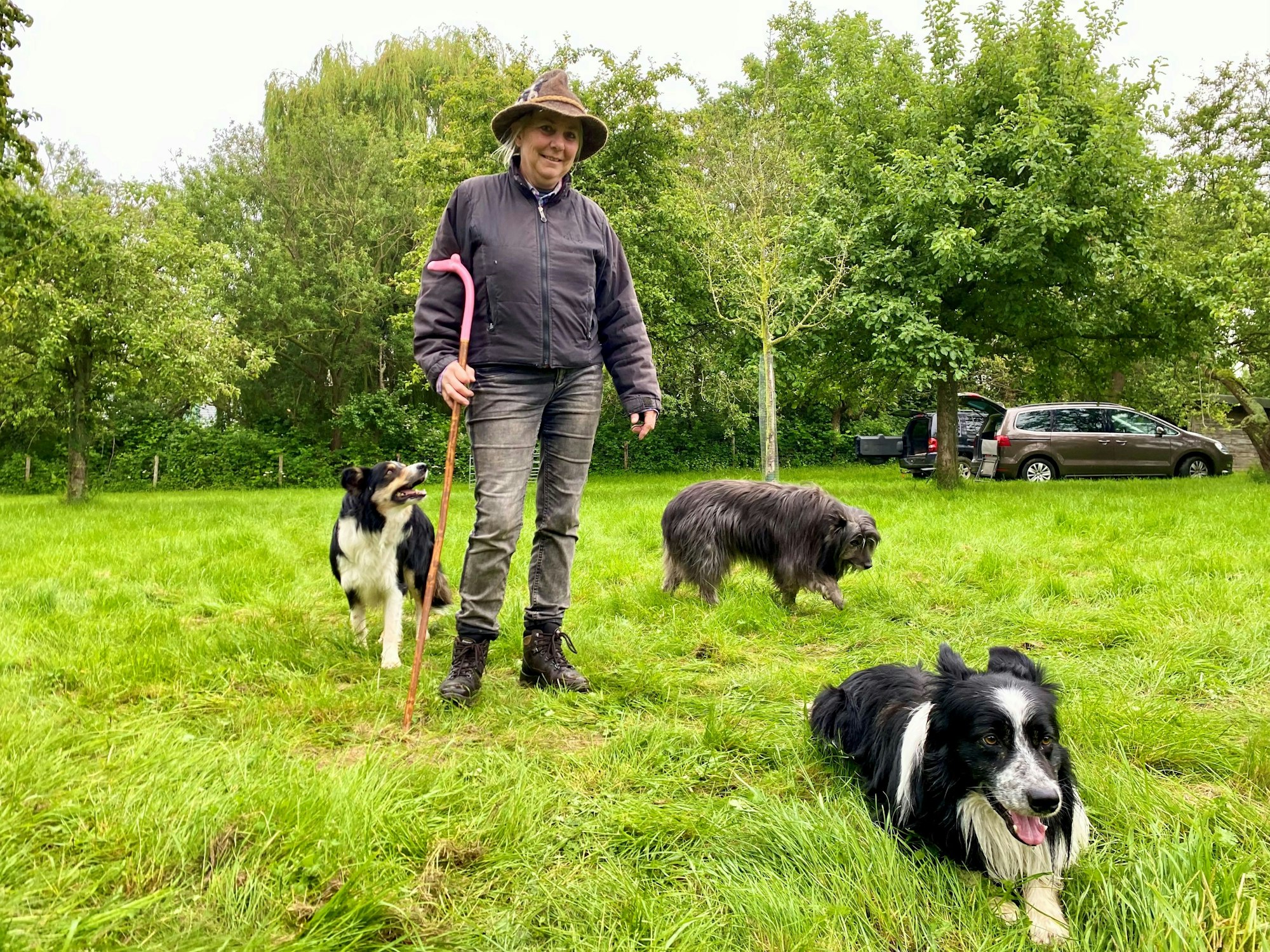 Sandra Schulten trägt Hut und einen Hirtenstab und steht mit ihren Hunden auf der Wiese.
