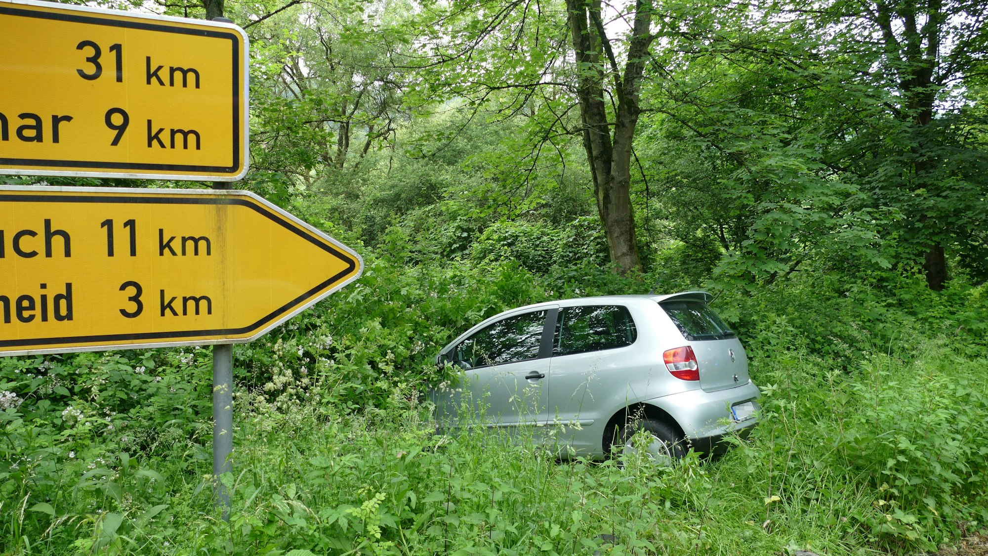 Ein silbernes Auto steht in einer Wiese.
