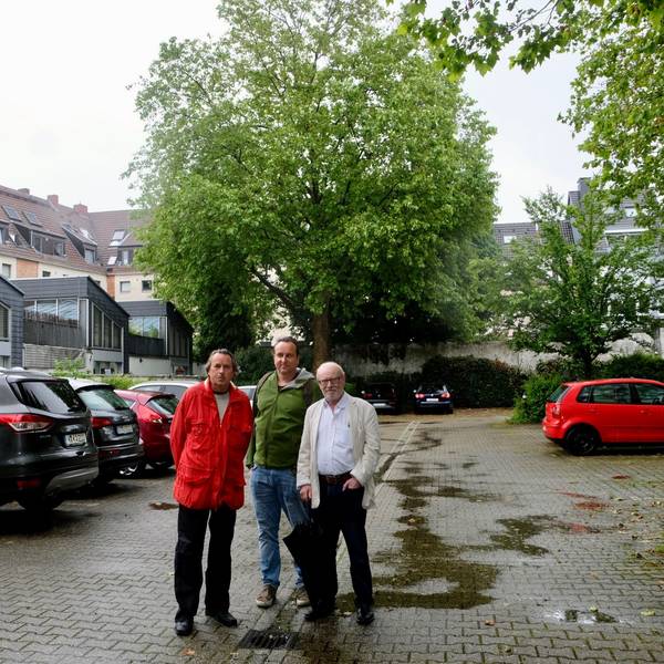 Die Bezirksvertreter Roland Schüler, Florian Weber-Baronowsky (Grüne) und Friedhelm Hilgers stehen auf dem Parkplatz an der Redwitzstraße 62 in Köln-Sülz und vor der großen Platane im Hintergrund. Foto von Susanne Esch.