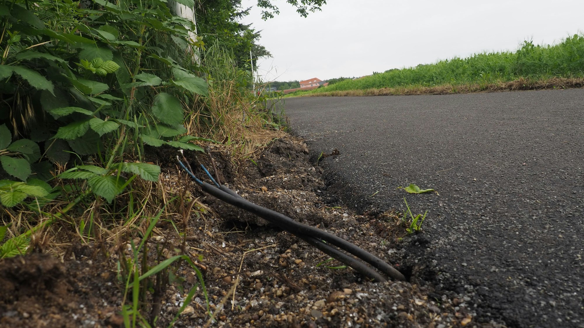 Die Solarmodule sind abgefräst, der Radweg ist neu asphaltiert. Nur Kabel am Wegesrand erinnern noch an die Teststrecke.