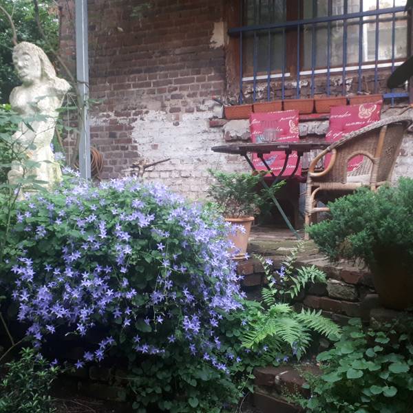 Künstler Günter LImburg hegt und pflegt seinen Garten im Innenhof hinter seinem Atelier