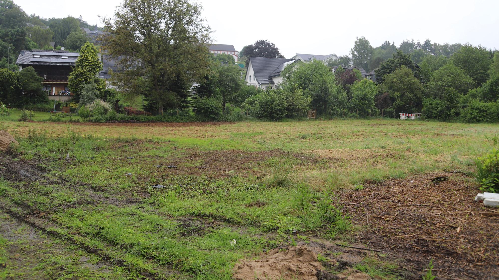 Auf einer grünen Wiese soll das Gebäude entstehen.