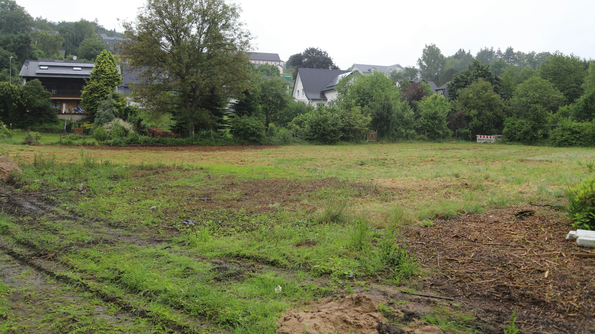 Auf einer grünen Wiese soll das Gebäude entstehen.