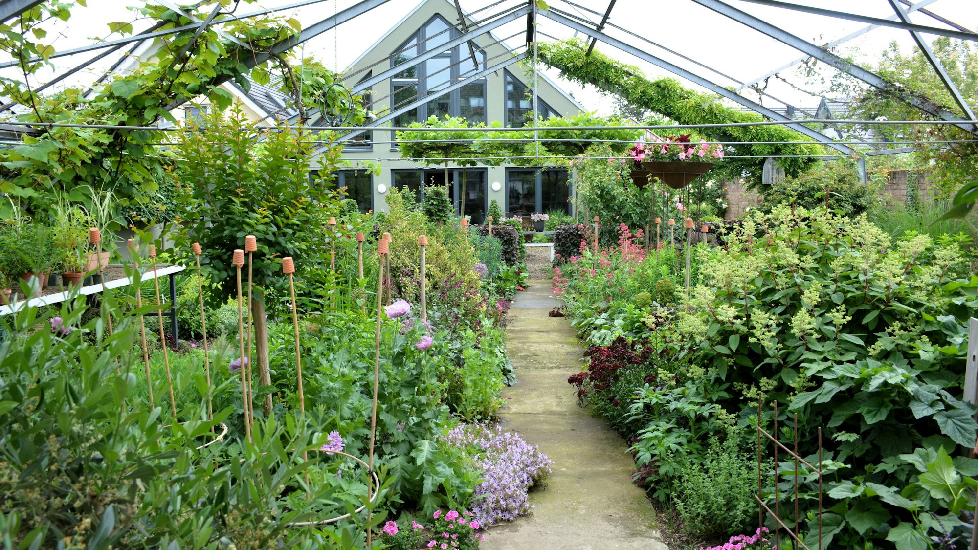 Ein durch und durch grüner Garte mit zahlreichen Pflanzen.