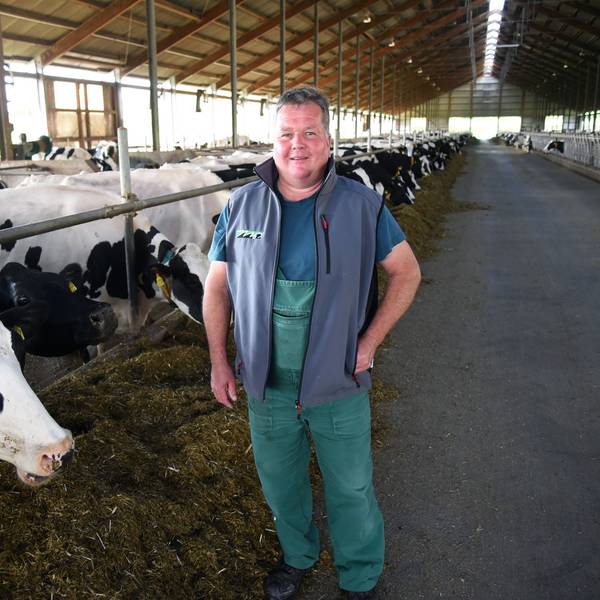 Das Foto zeigt Landwirt Heinz Raffelsieper im riesigen Kuhstall der Wegerhof KG.