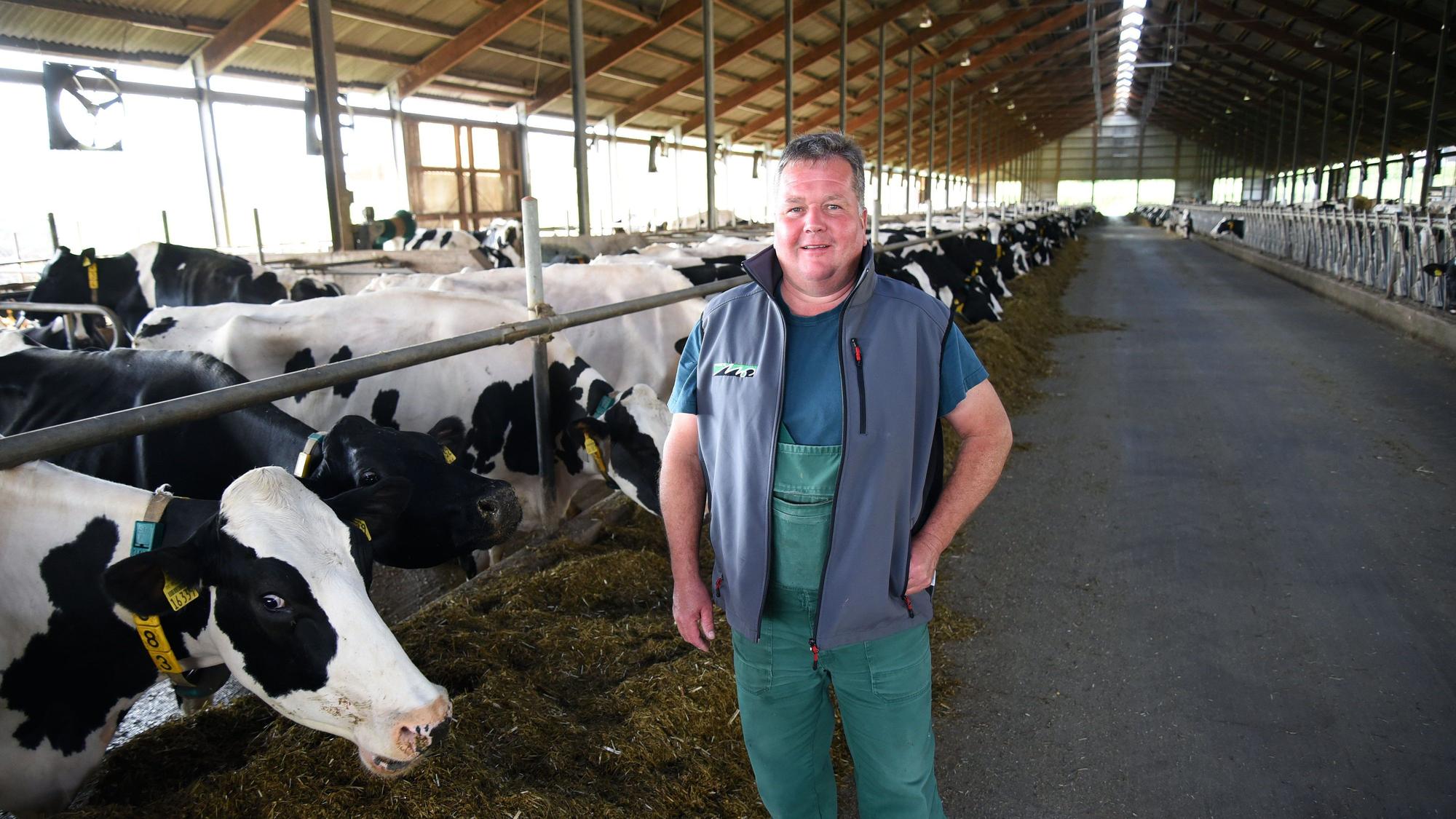 Das Foto zeigt Landwirt Heinz Raffelsieper im riesigen Kuhstall der Wegerhof KG.
