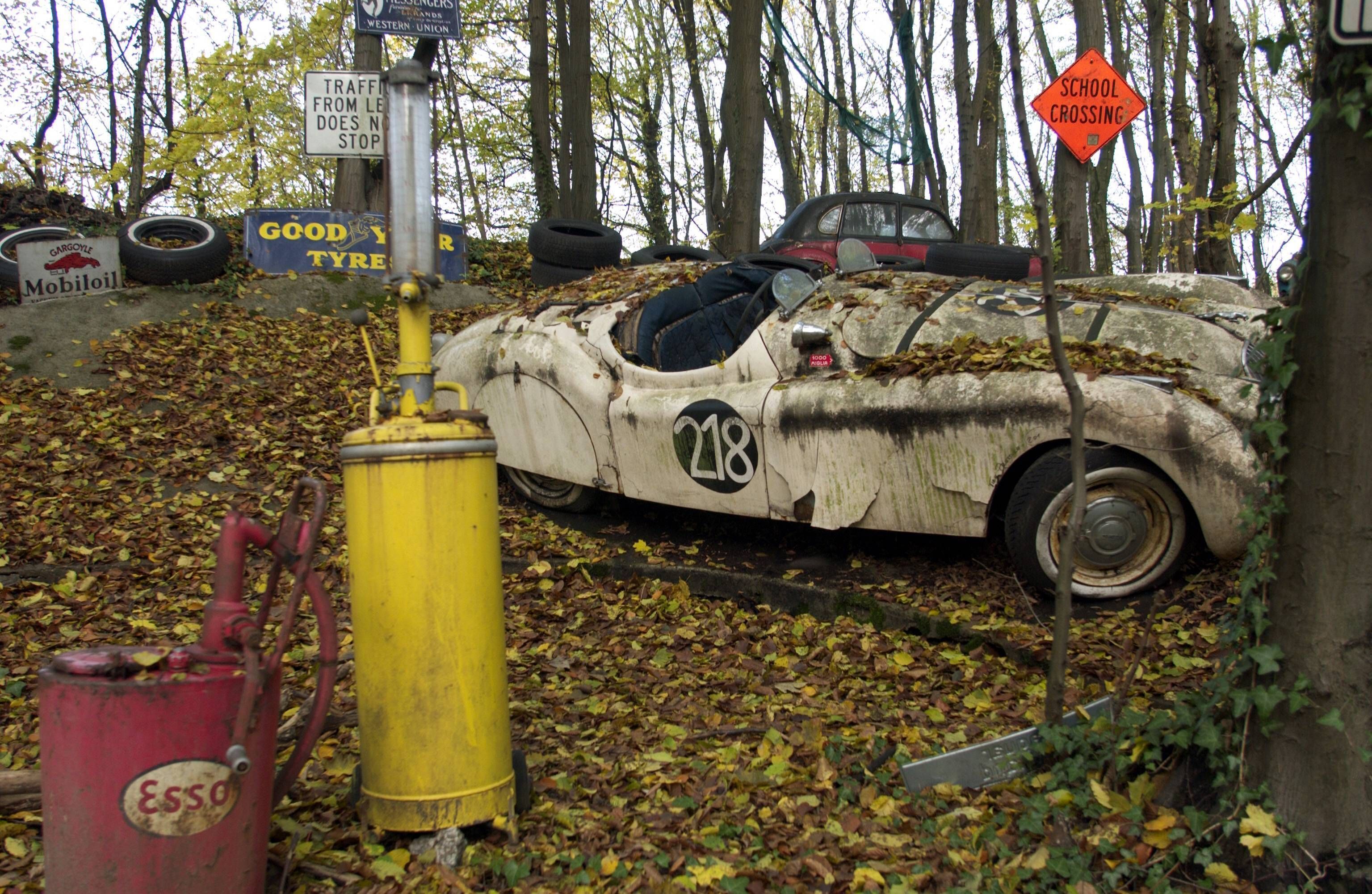 Ein Jaguar-Rennwagen rosten in einem Waldstück im Neandertal vor sich hin.