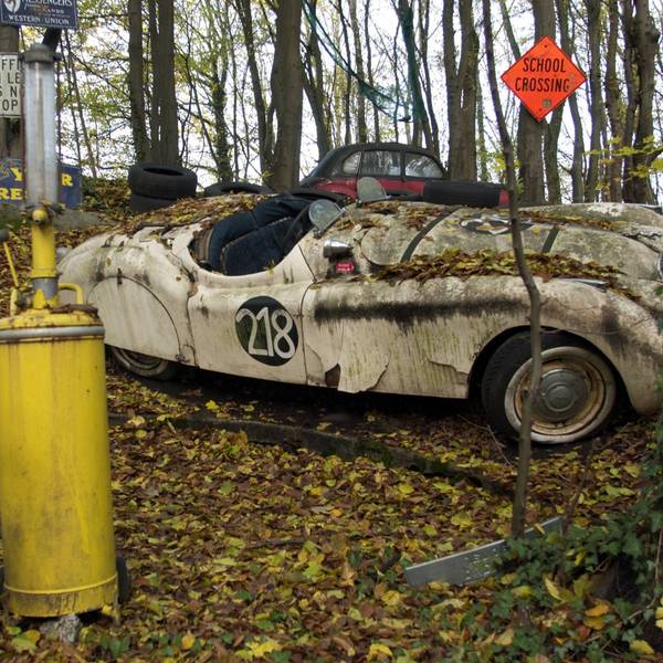 Ein Jaguar-Rennwagen rosten in einem Waldstück im Neandertal vor sich hin.