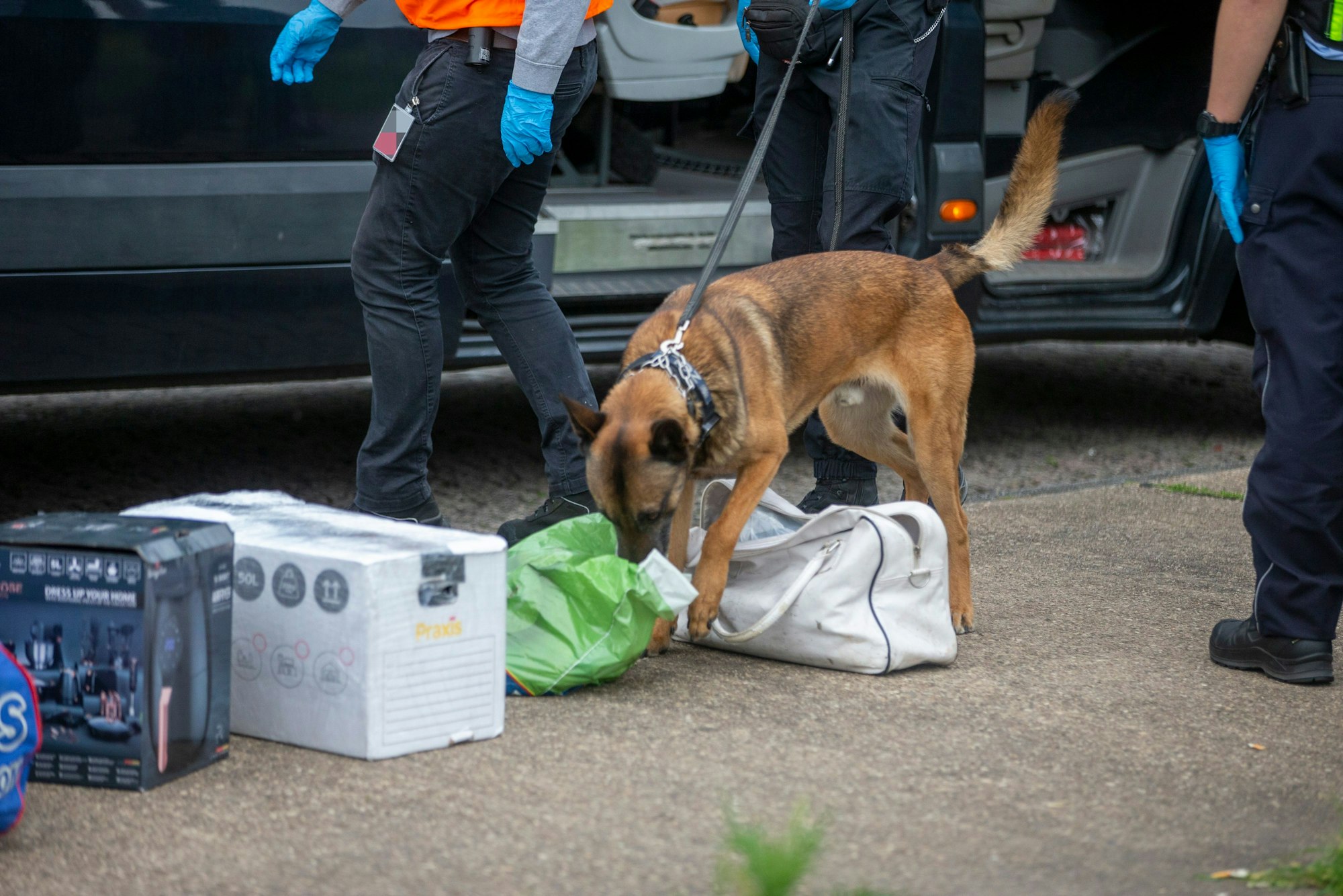 Drogenspürhunde schnüffelten auf dem Parkplatz Esch an der A 57 nach Rauschgift.