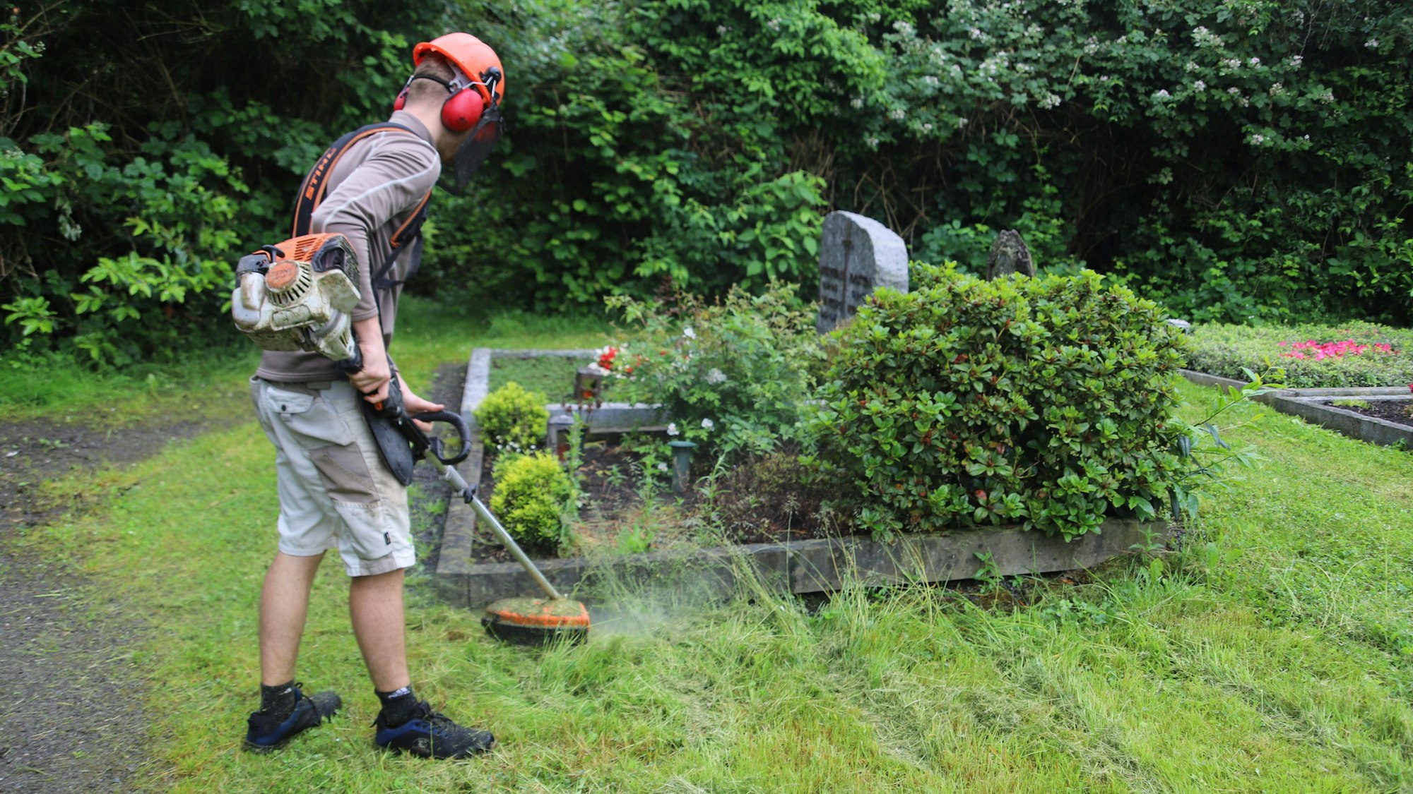 Ein Gärtner arbeitet mit einem Freischneider an einem Grab.