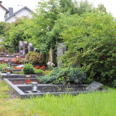 Sträucher wachsen über Grabmäler hinweg, das Gras steht sehr hoch.
