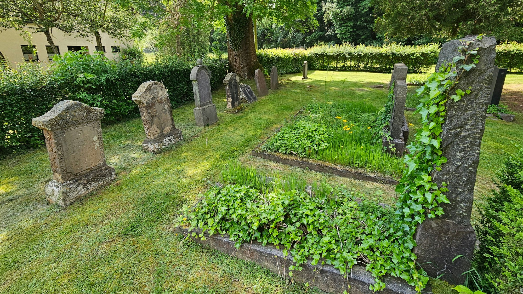Blick auf einige Gräber des jüdischen Friedhofs.