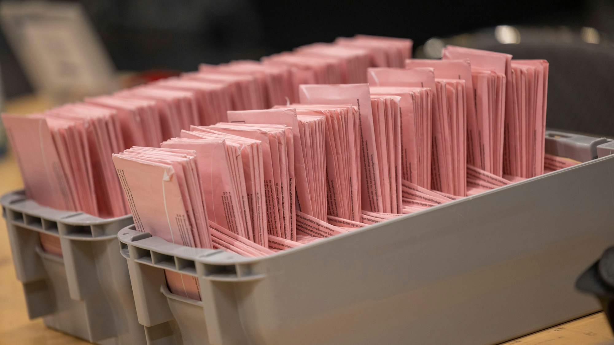 09.06.2024, Nordrhein-Westfalen, Köln: Umschläge mit Briefwahlstimmen werden im Briefwahlzentrum der Stadt sortiert.