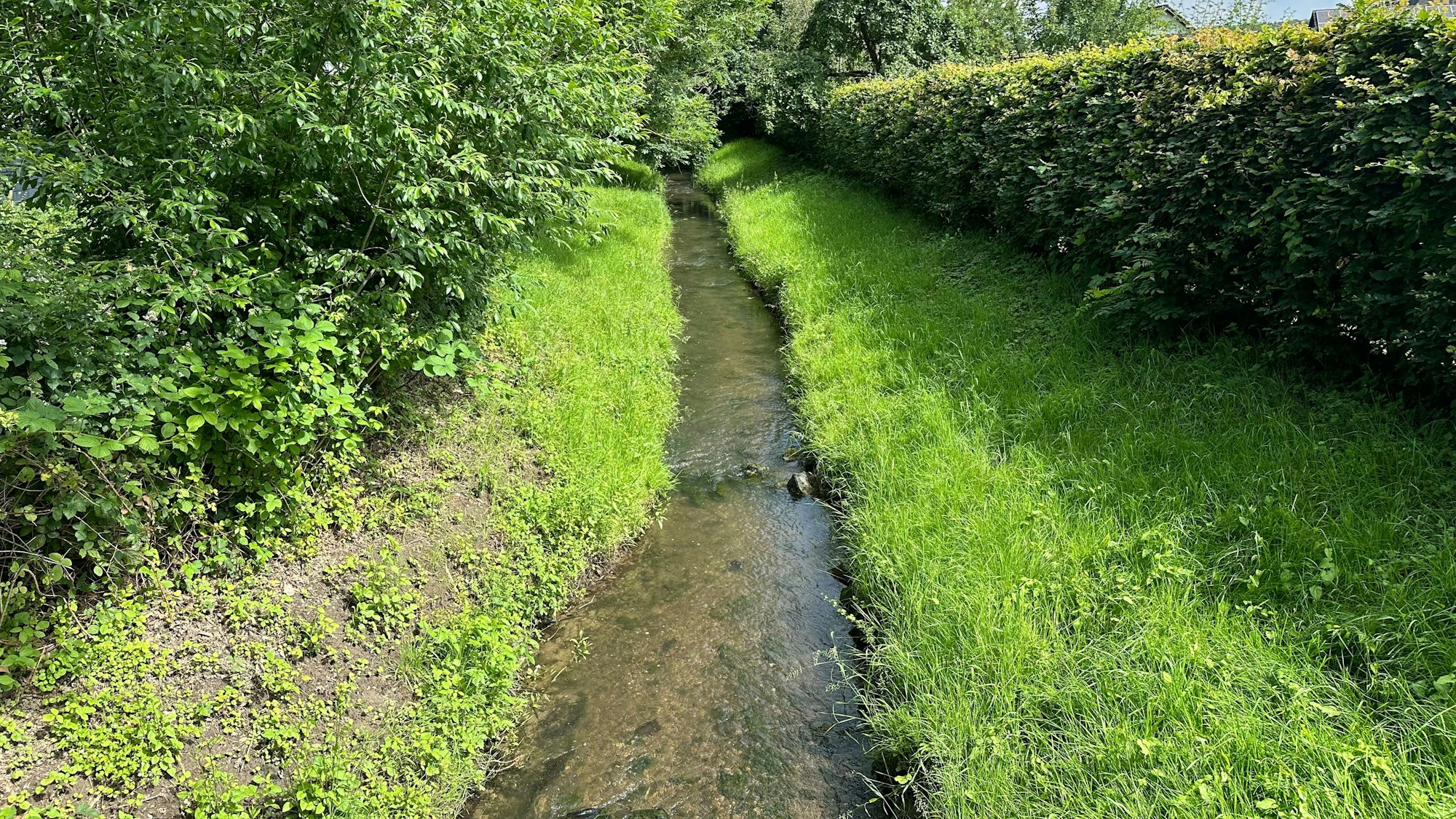 Der Lauterbach soll umgestaltet werden, dass er bei Starkregen nicht mehr zur Gefahr wird. Schnurgerade fließt der Lauterbach noch, das soll sich bald ändern.