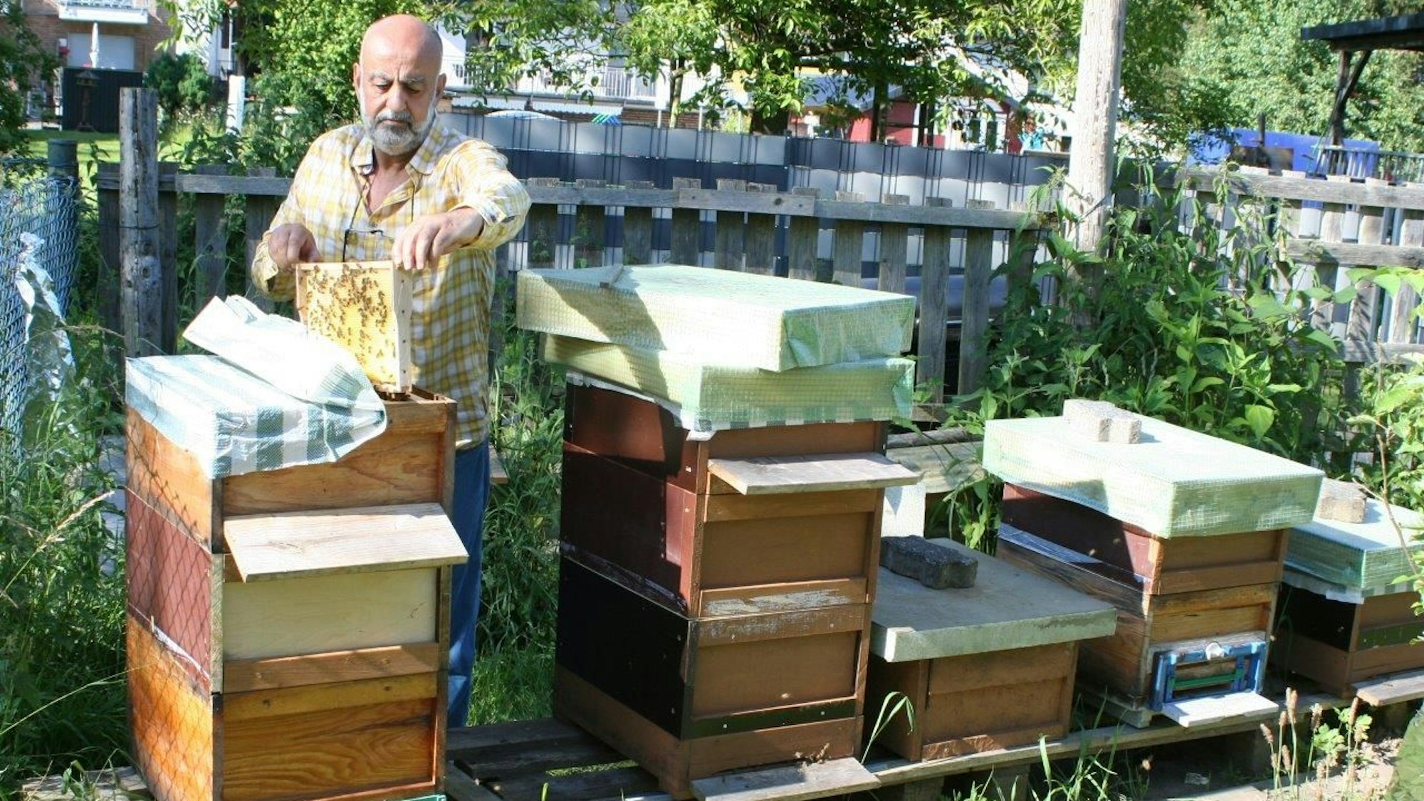 Hobbyimker Orhan Duman aus Eitorf wurden Bienenköniginnen gestohlen.