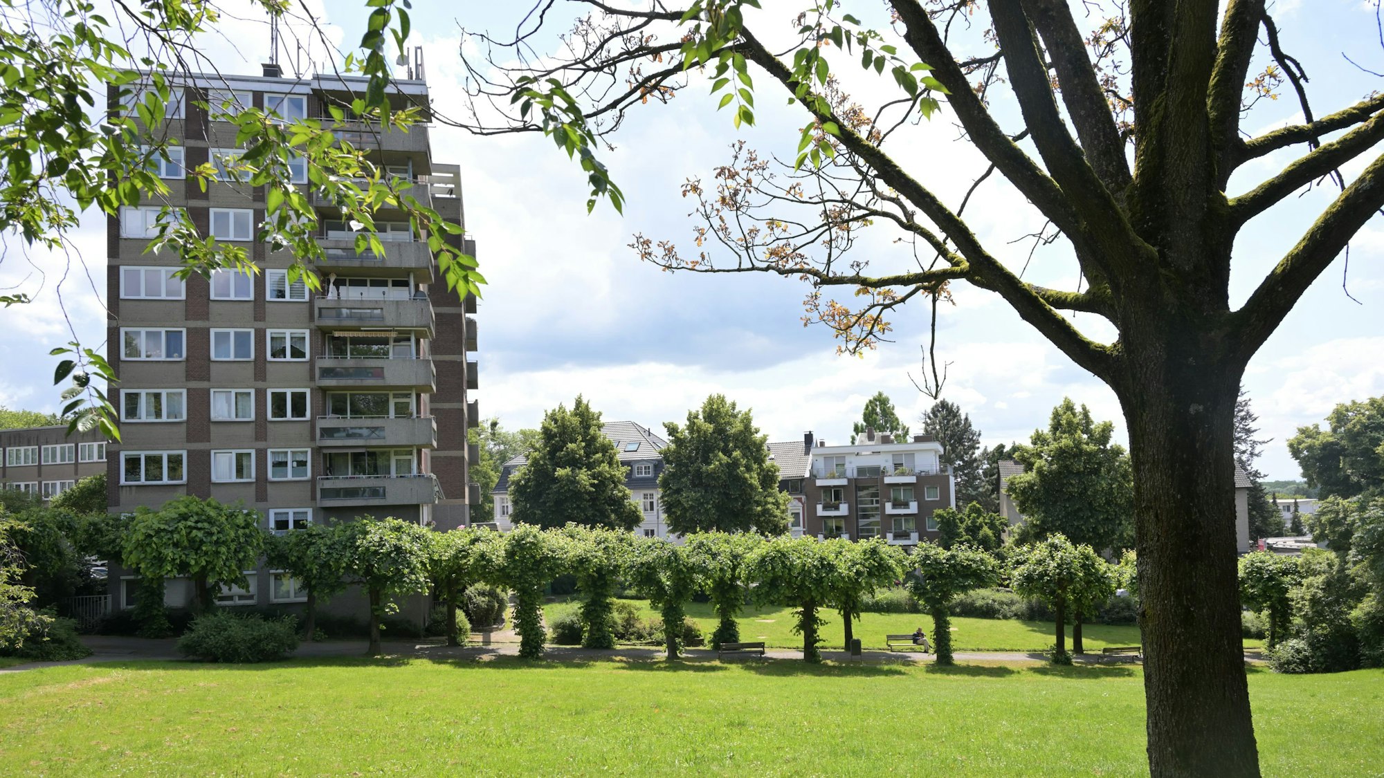 Auf dem Hindenburgplatz stehen Bäume und ein Hochhaus.