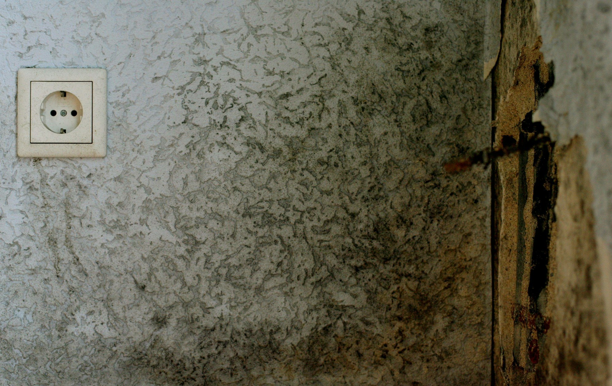 Schimmel hat eine Wand befallen.