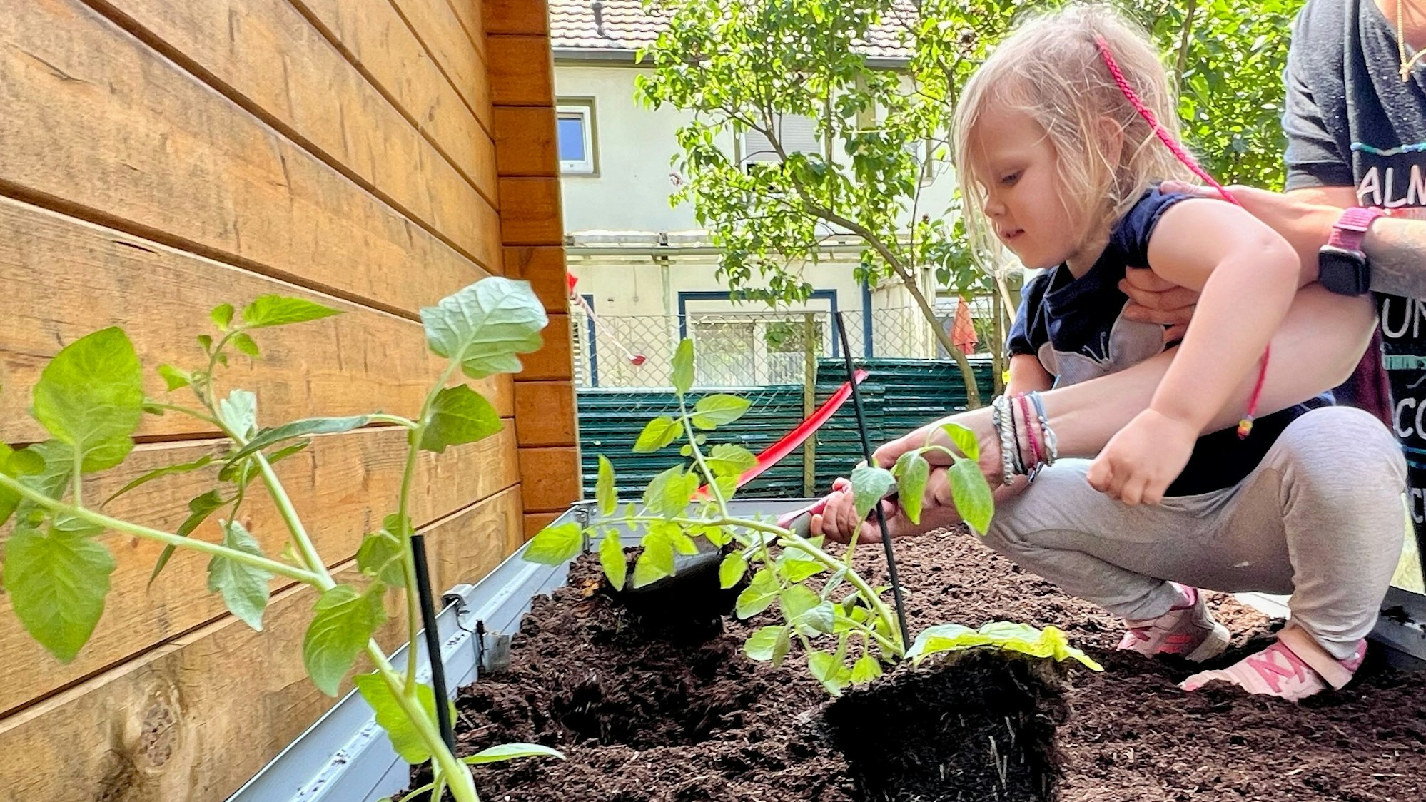 Sofia ist fleißig und pflanzt Gemüse in das Hochbeet der Inklusiven Kita Porz in Wahnheide.